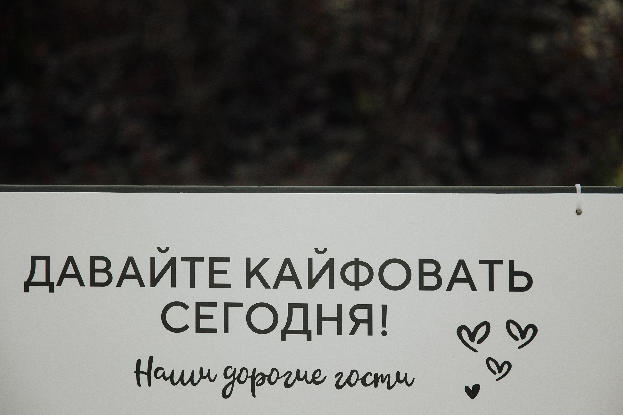 ALL IN ON LOVE. Дмитрий Мазуркевич: Профессиональный Репортажный Фотограф