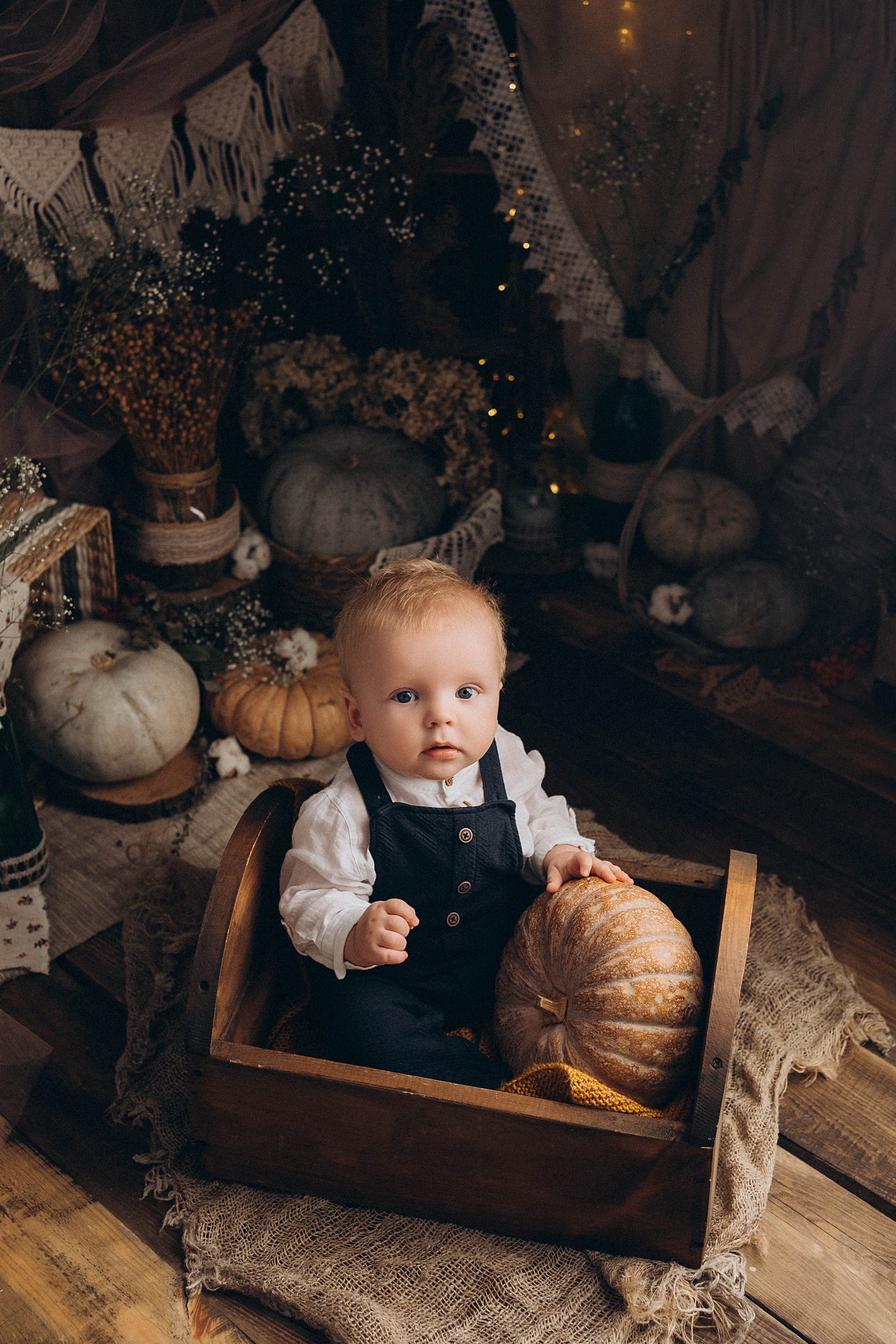 Тыквенный фотопроект. Семейный и детский фотограф новорожденных Ульяновск