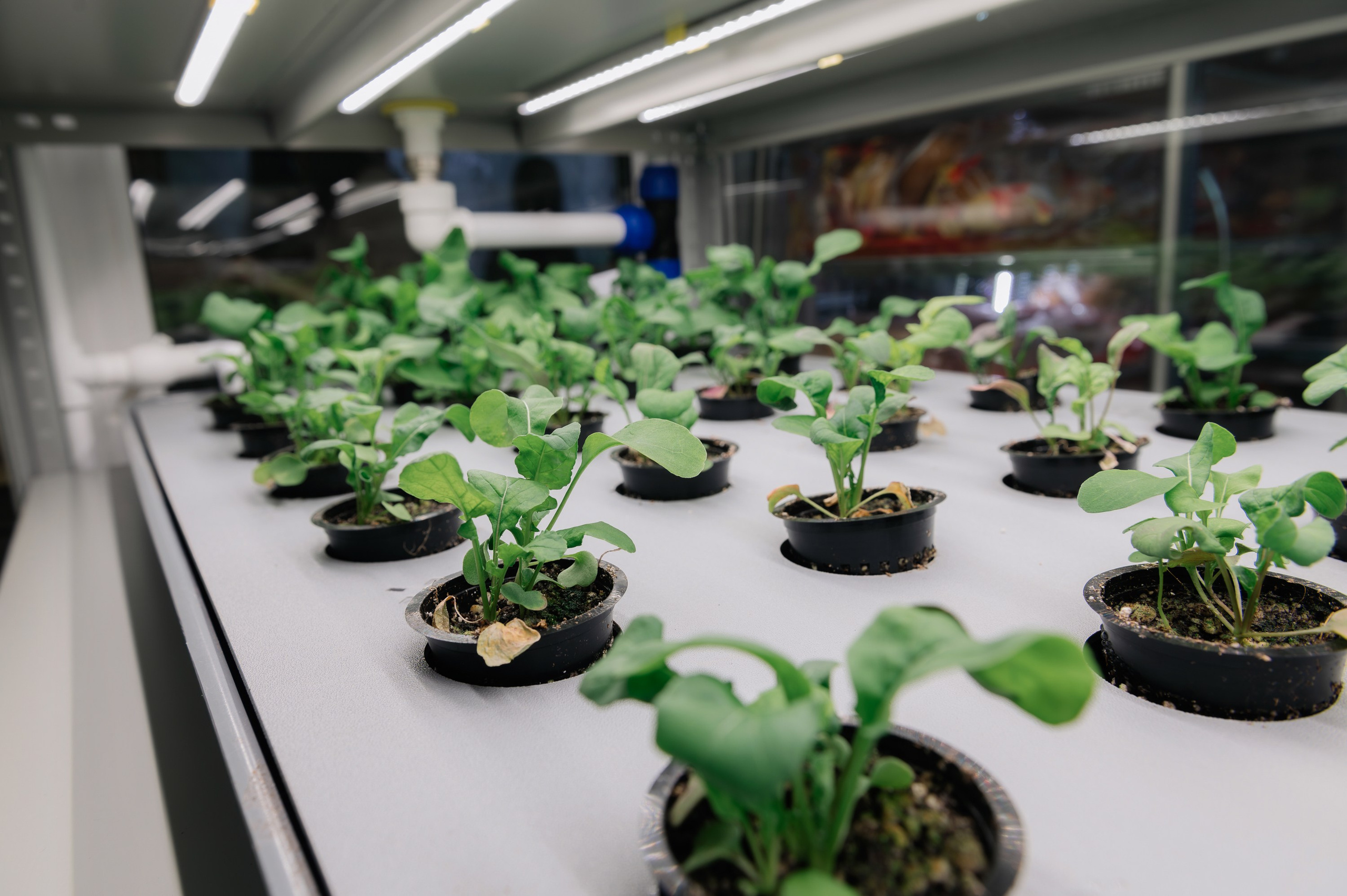 Пятёрочка. Школа питания. Фотограф в Волгограде Виталий Самойлов