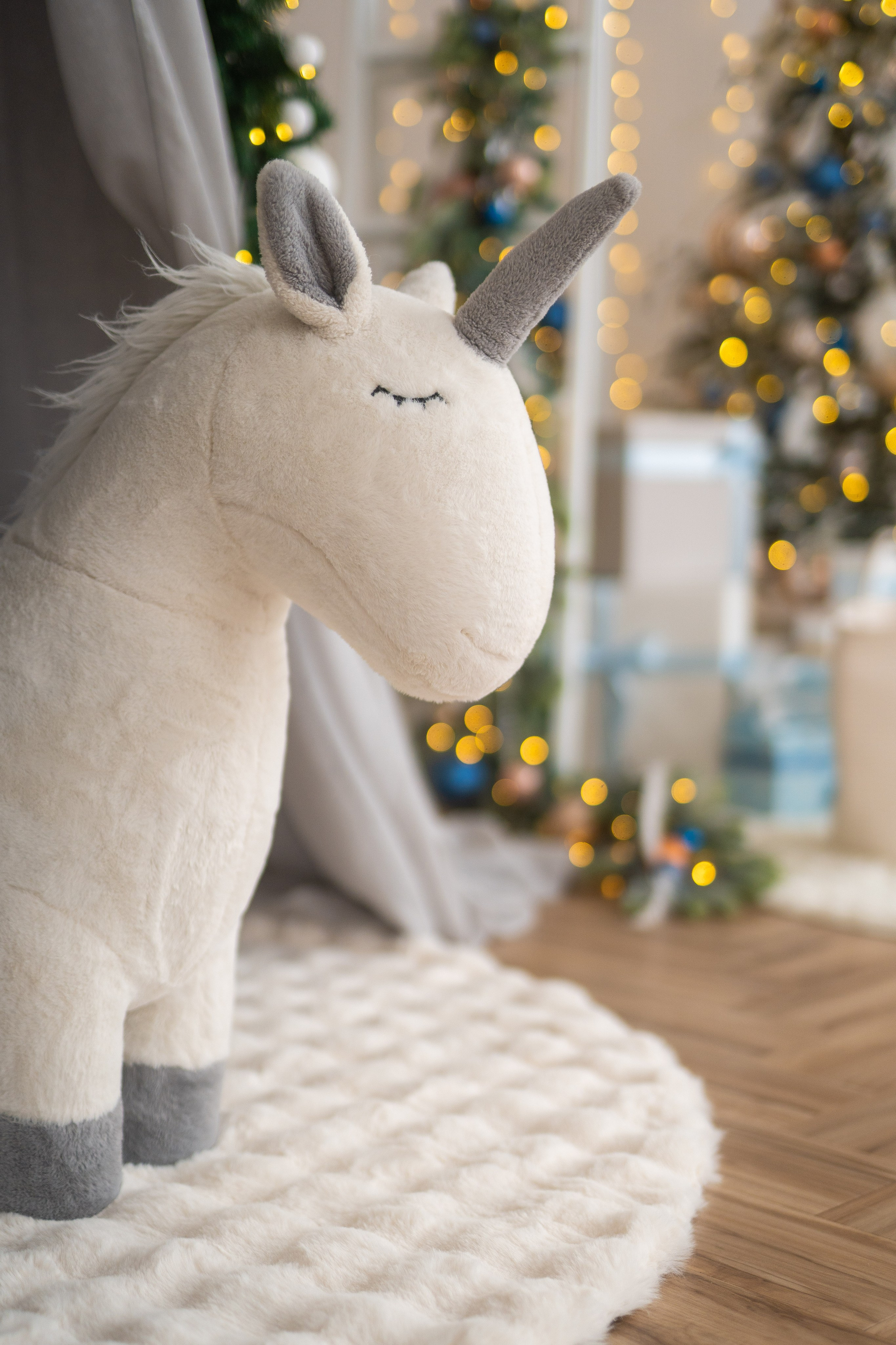 Зал Белый. Фотограф г. Хабаровск. Семейные и индивидуальные съёмки