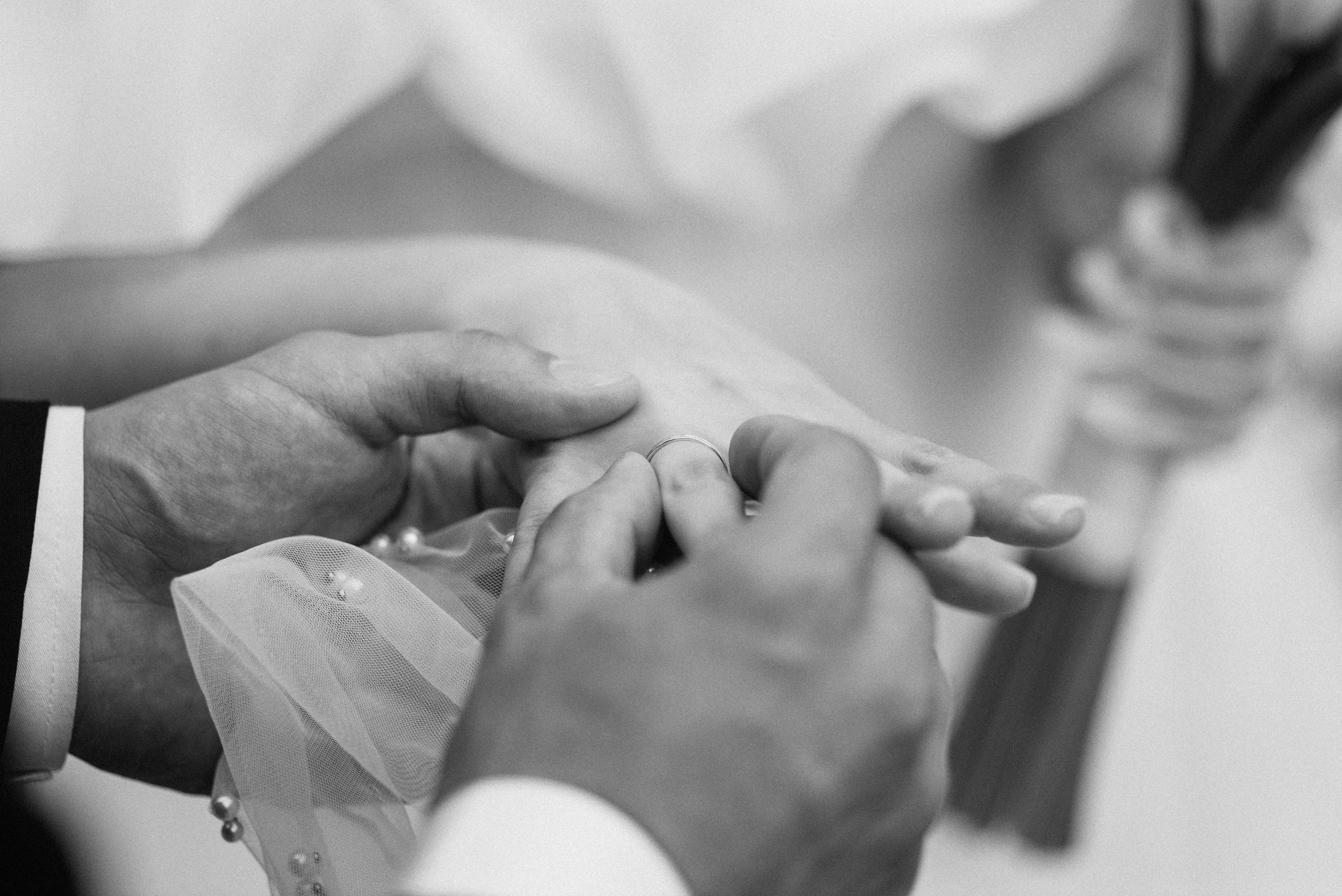 Artem + Milana. Фотограф/видеомейкер в Минске, Москве, Витебске, видеосьемка