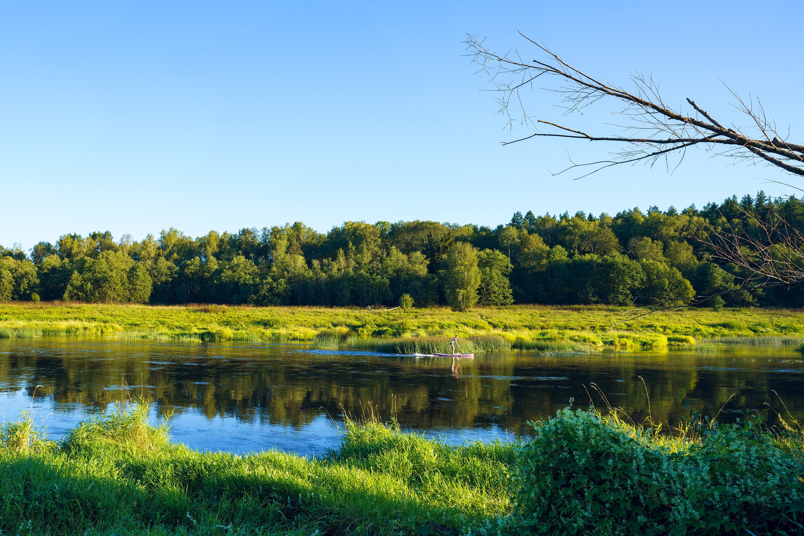 Фотографии Национальный парк Угра. Фотограф спортивные события, недвижимость, турбизнес