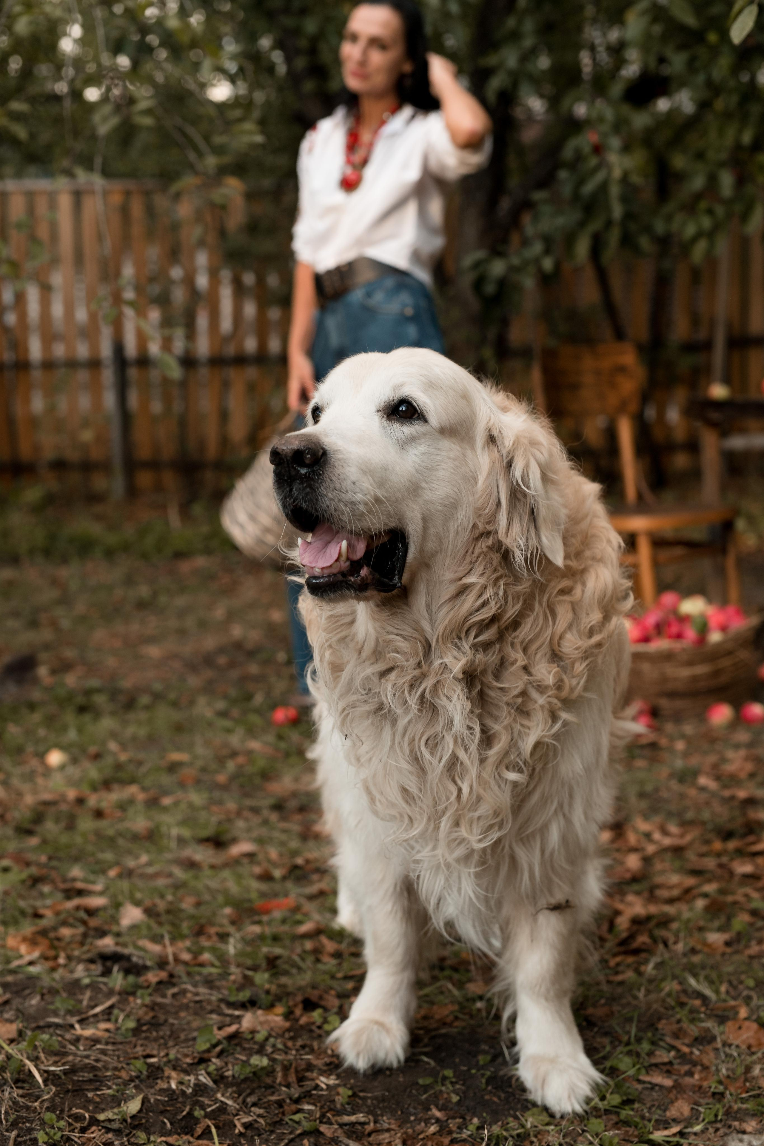 Ирина. Семейный и контент фотограф