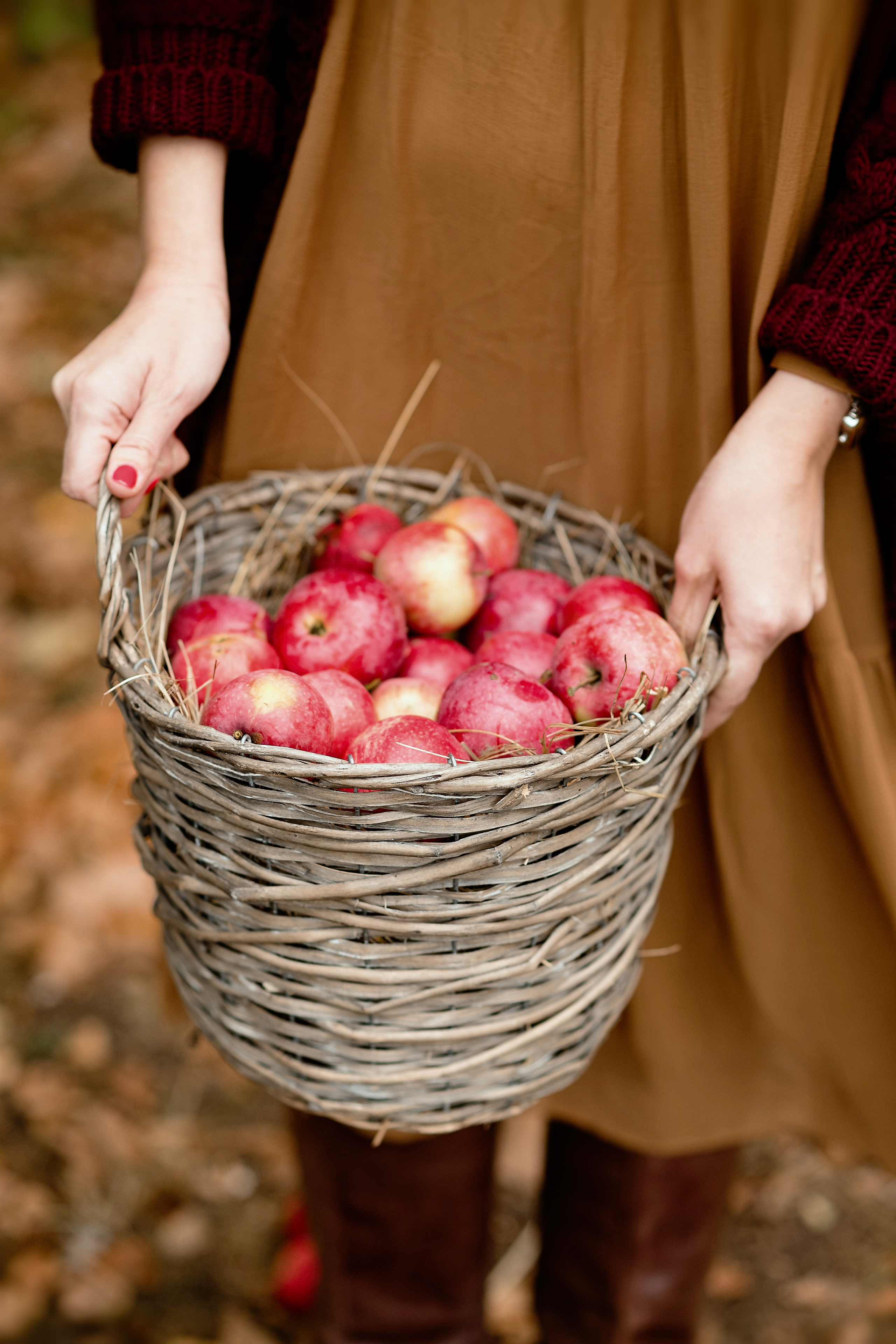 Ksenia. Family and content photographer