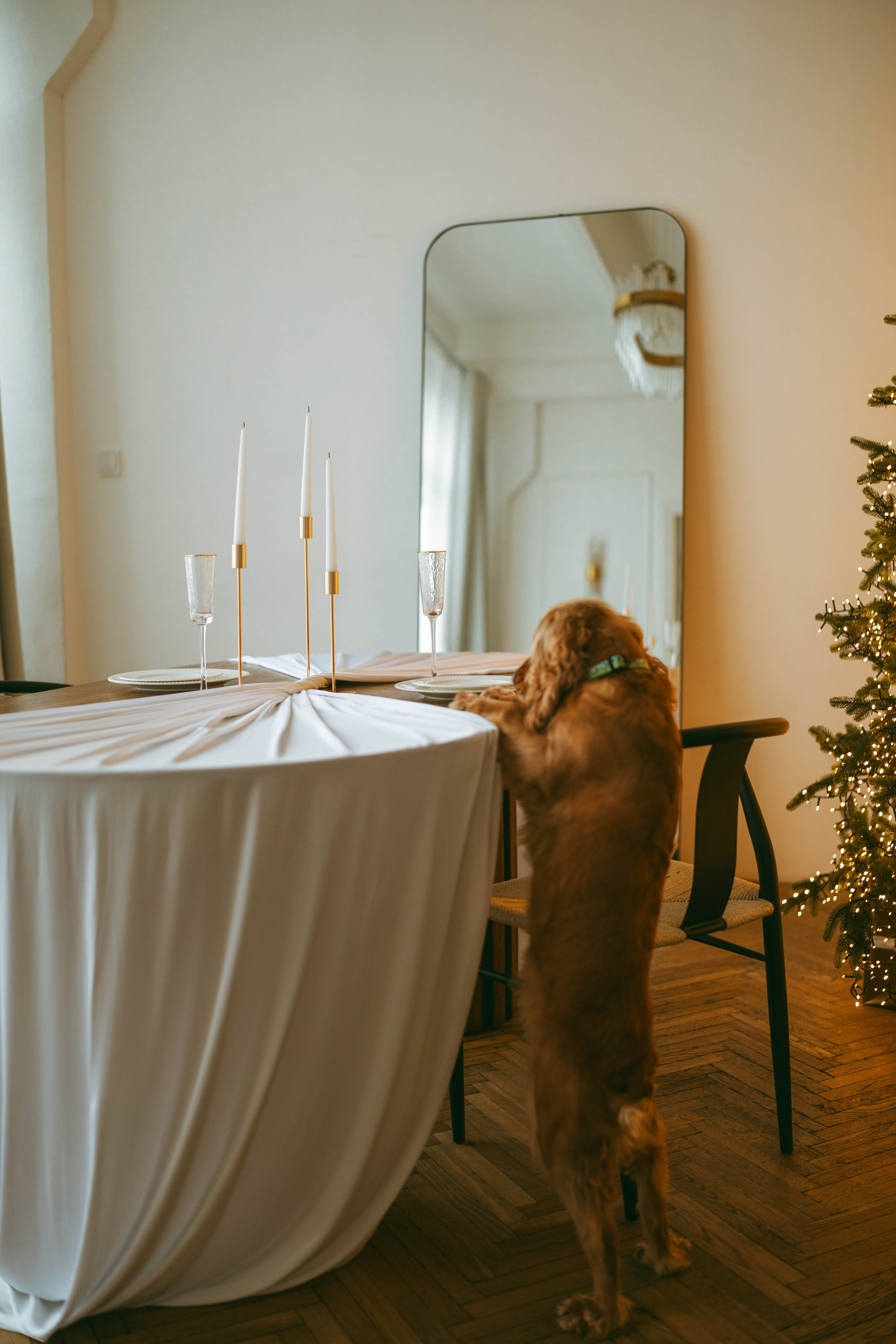 Валерия Даниил и Боня. Профессиональный фотограф