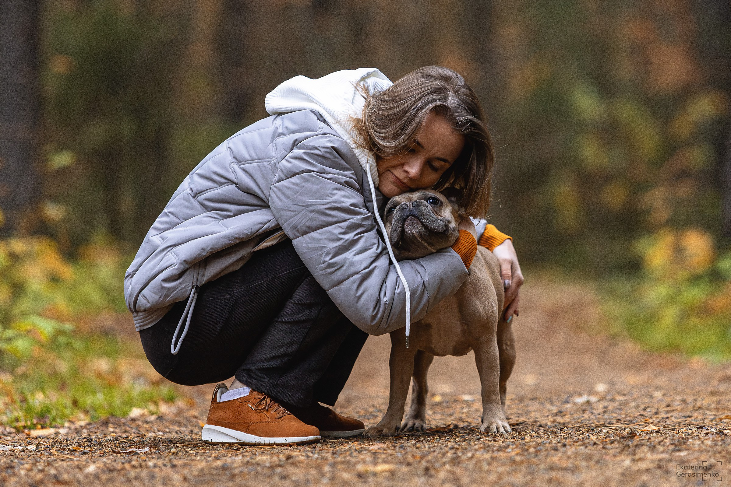 Французский бульдог Ника. Htykk_photo