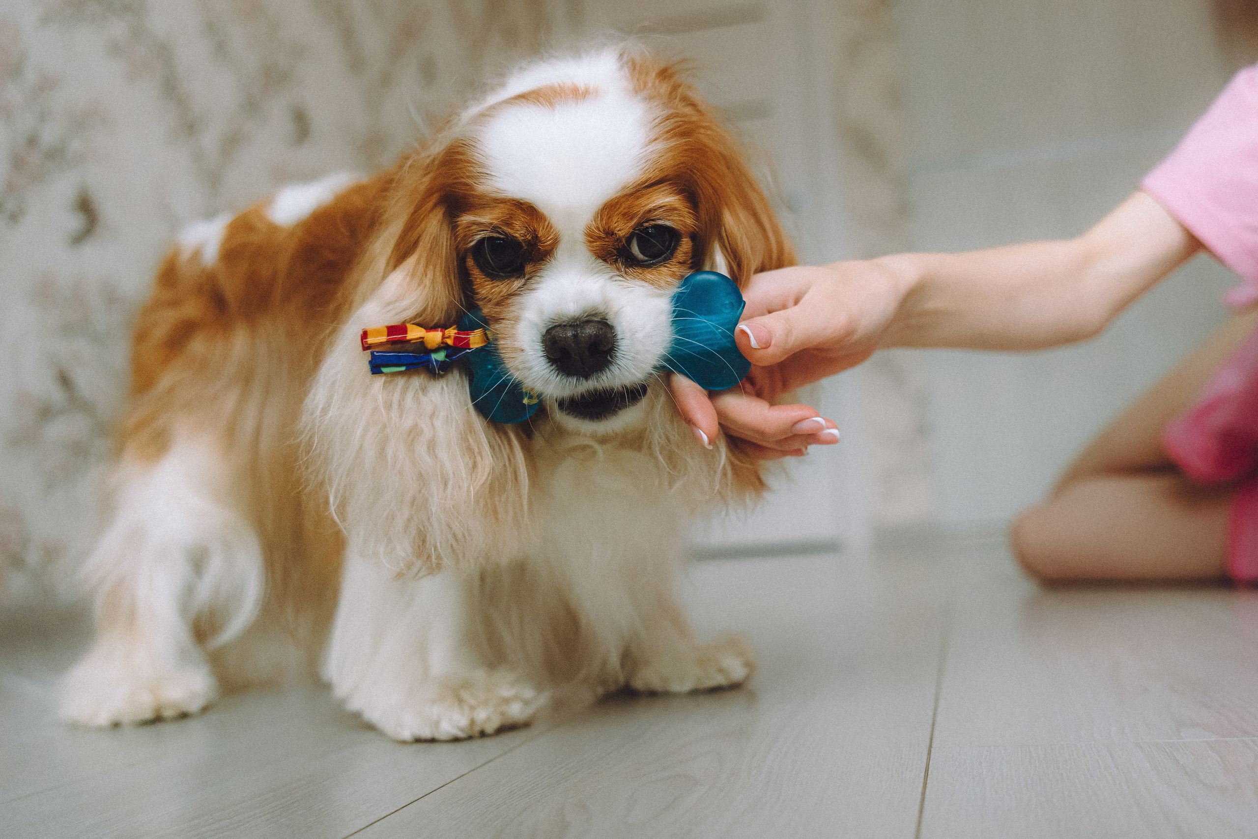 Наташа и Вики