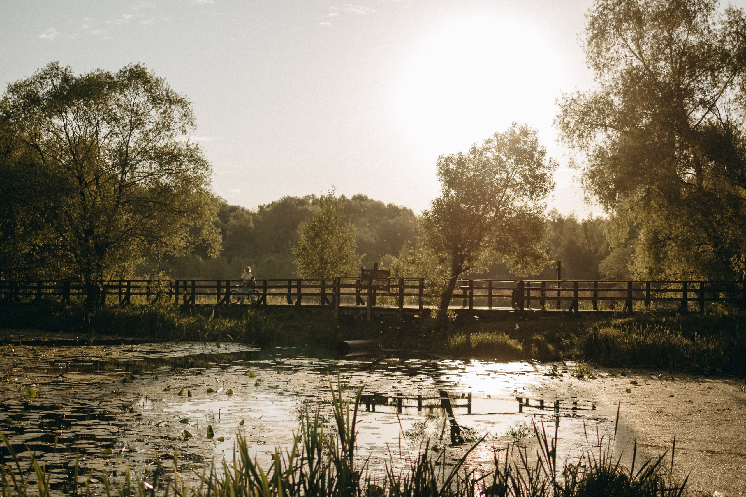 Екатерина и Лёня. Фотограф — Анималист | Санкт-Петербург