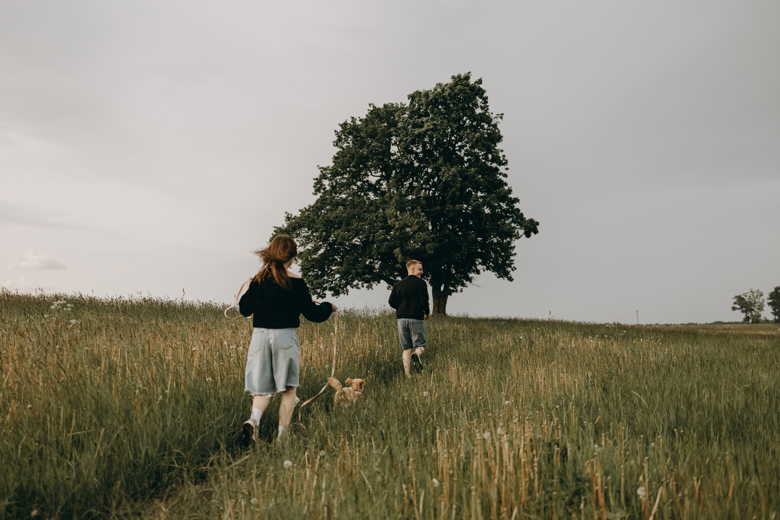 Мия и ее семья. Фотограф — Анималист | Санкт-Петербург