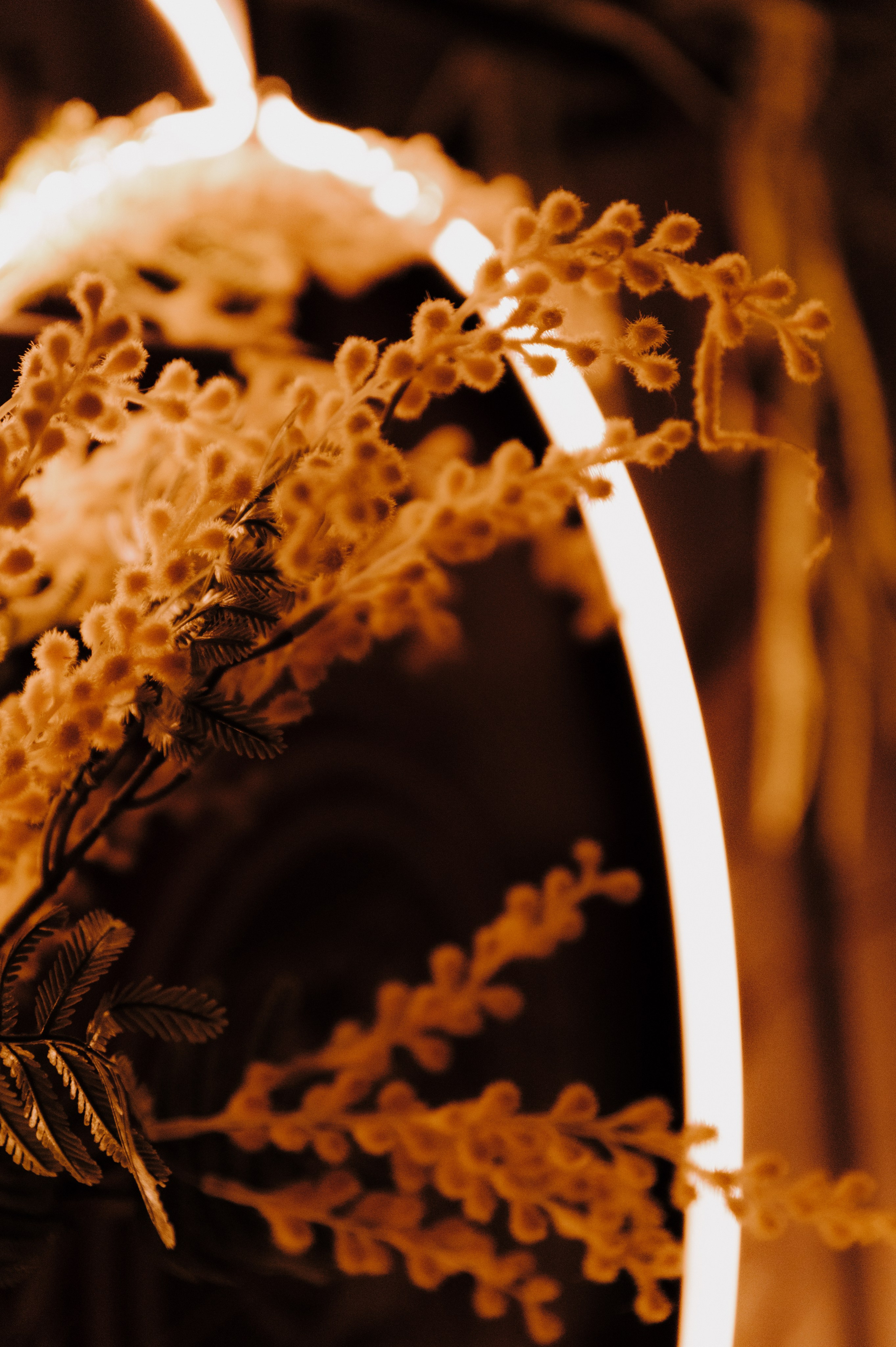 Beerlogovo birthday party 2024. Свадебный фотограф в Тамбове Валерий Тихов