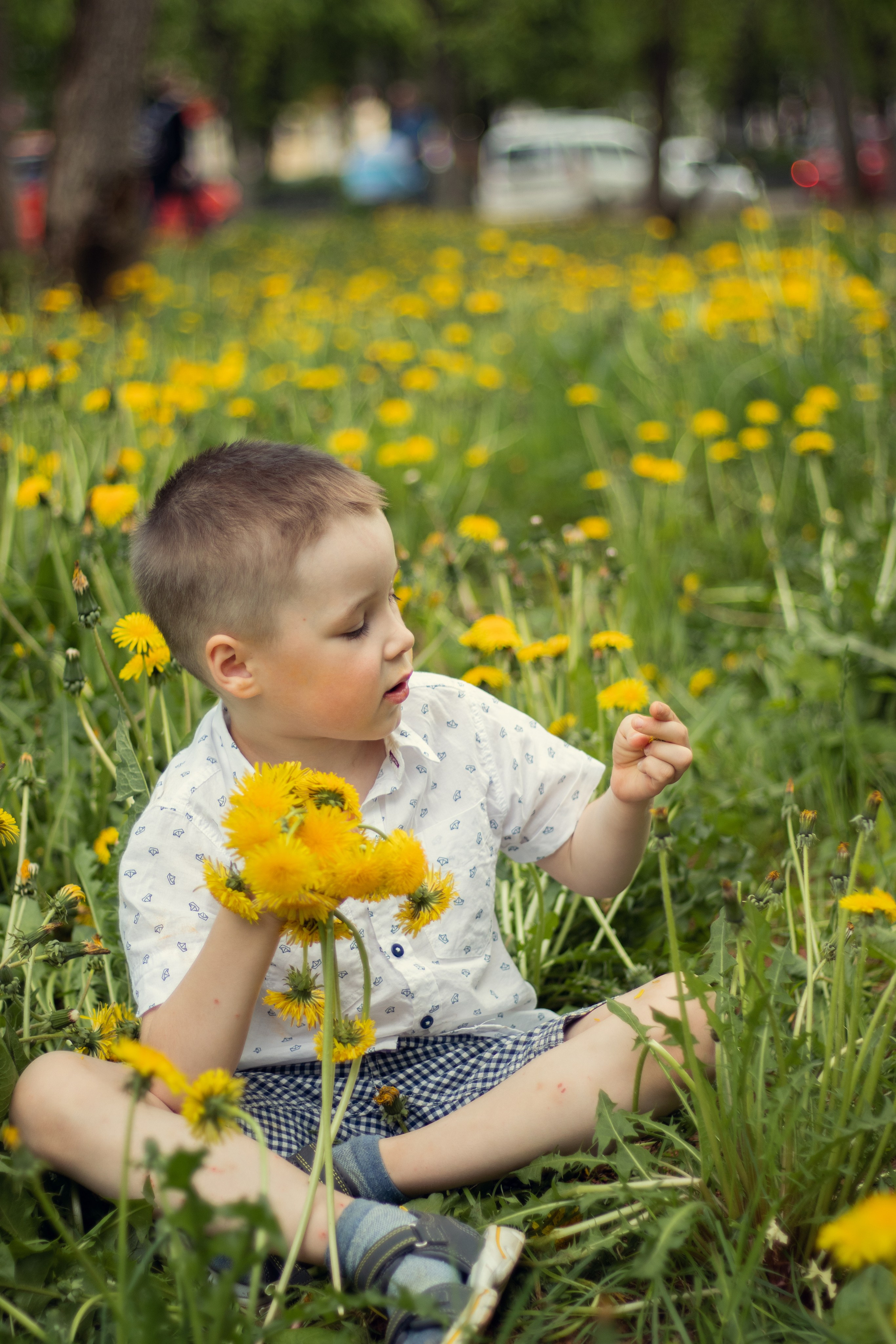 Одуванчиковое настроение