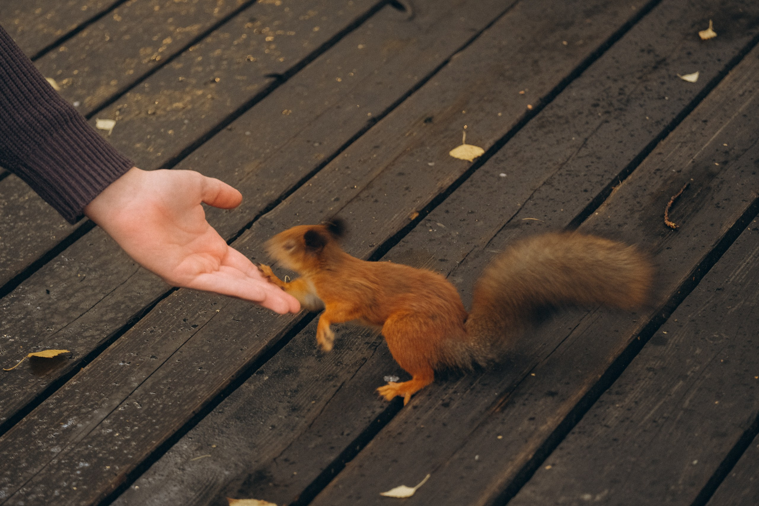 День рождения малышки. Профессиональный фотограф, Санкт-Петербург — Виктория Богомолова