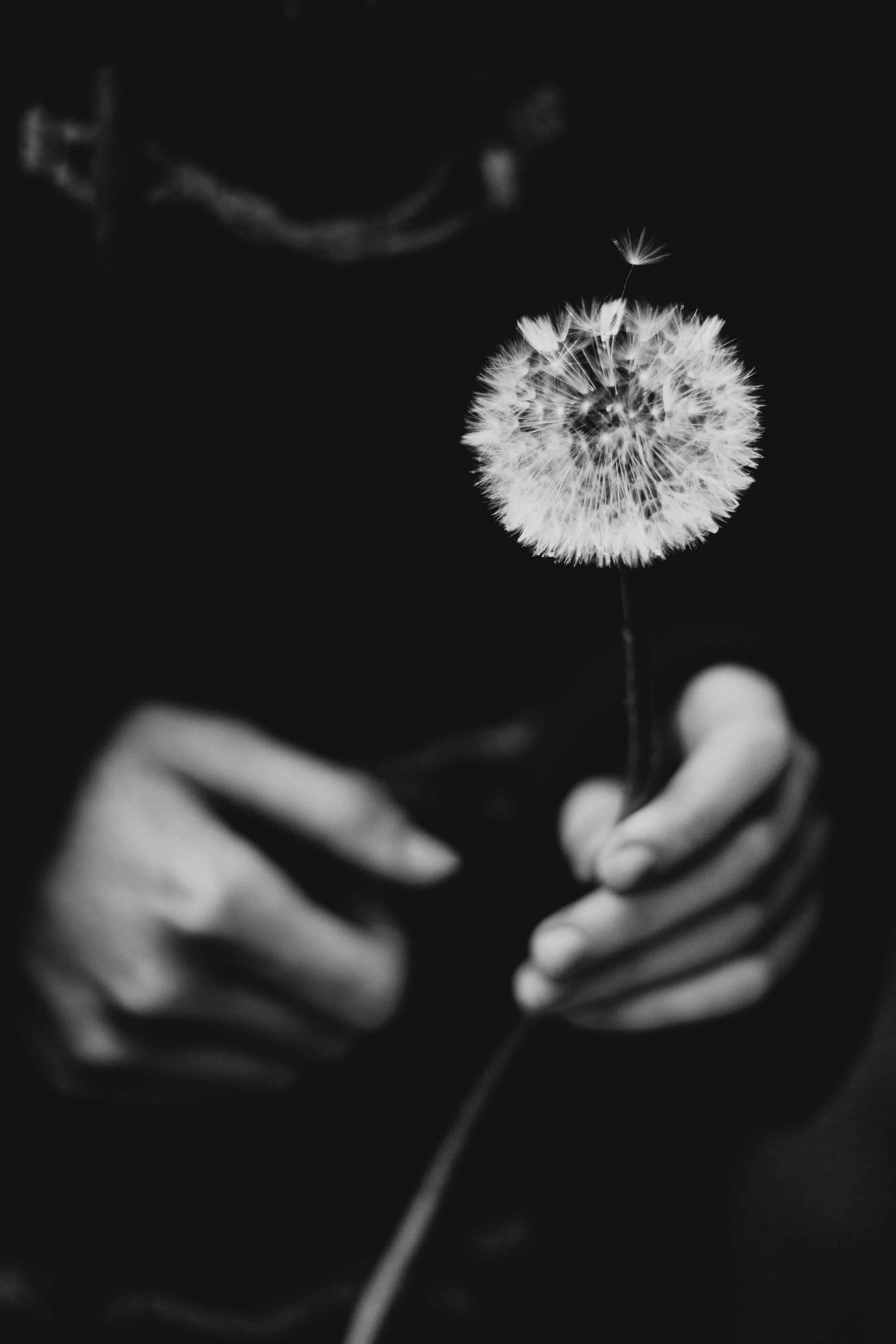 Аня и Павел. Свадебный фотограф в Санкт-Петербурге Рина Евтеева