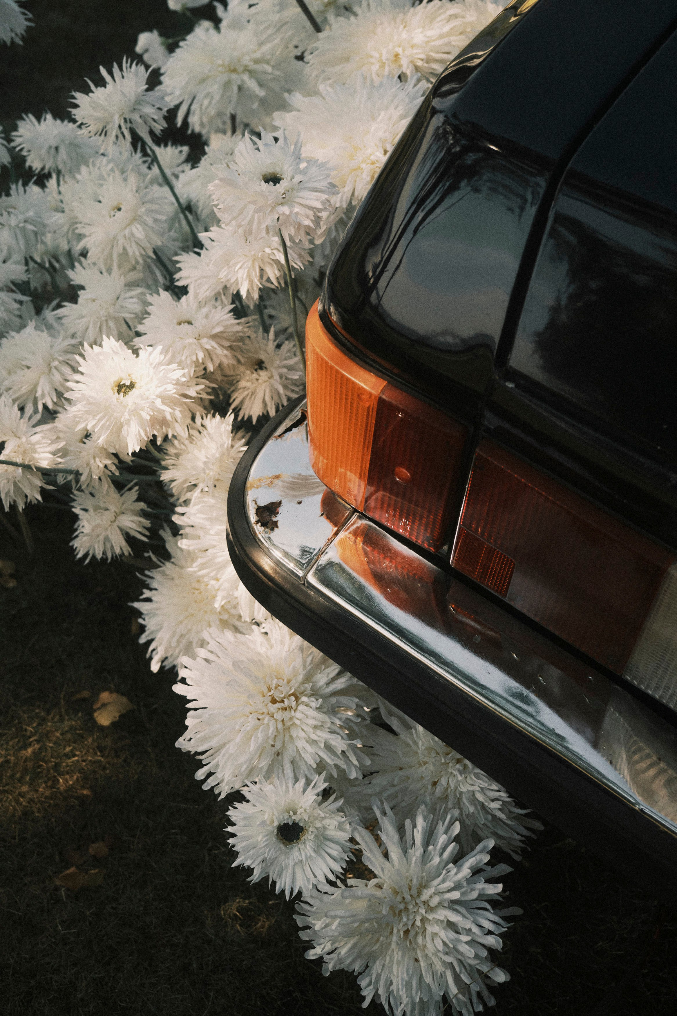 Vlad & Sofiya. Фотограф Тим Бритнев