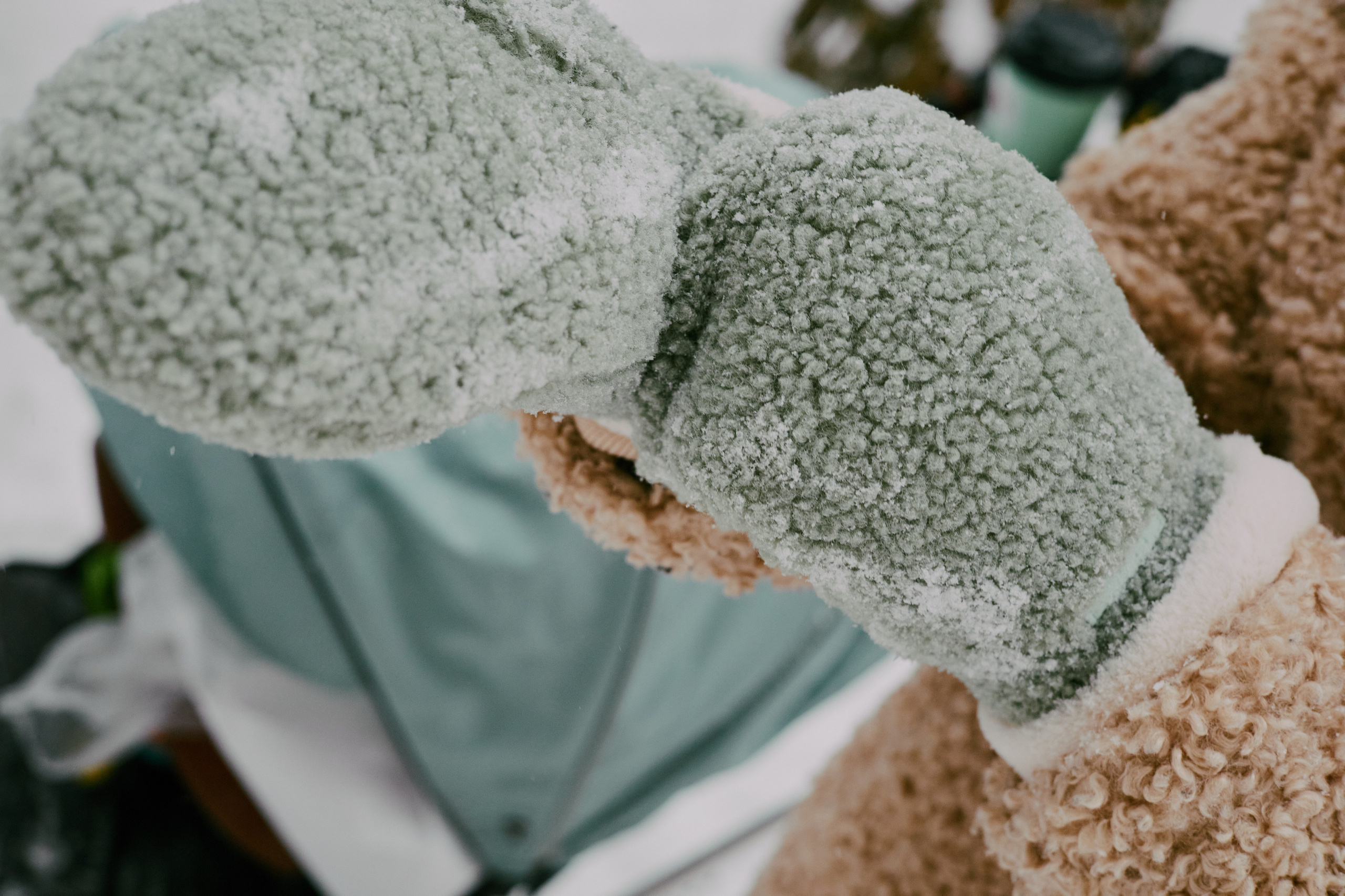 Зимний сад. Алина|Life Фотограф|Москва