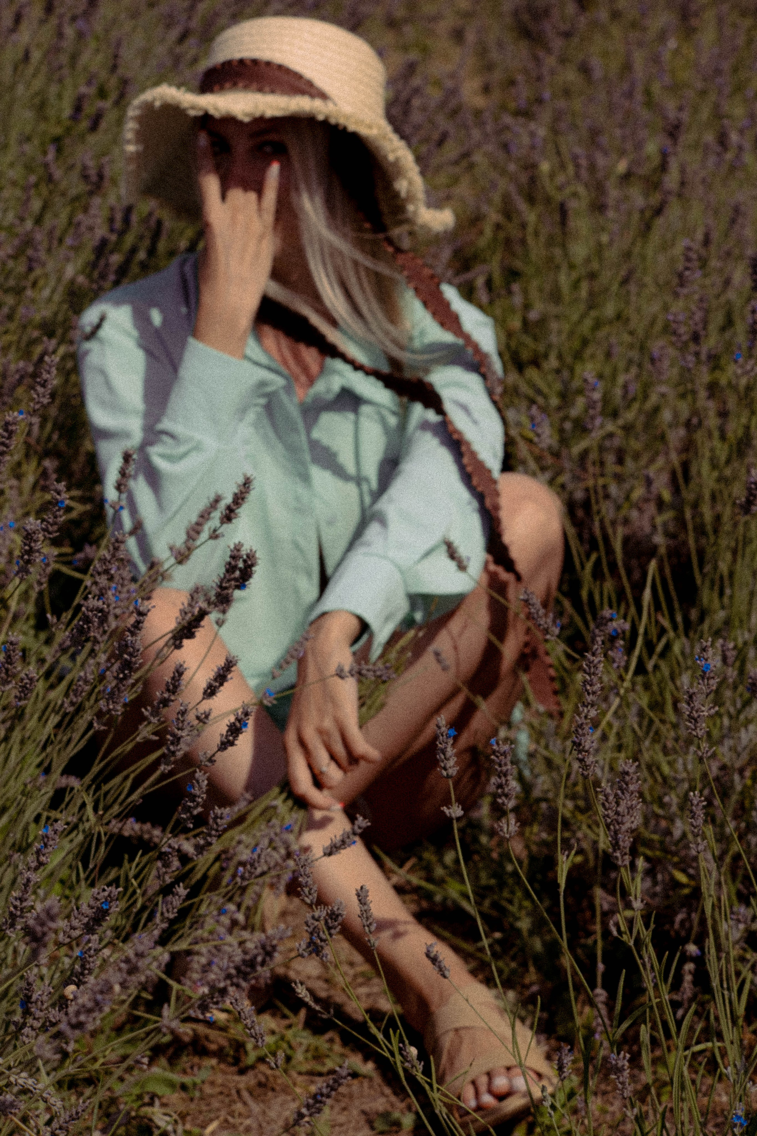 ЛАВАНВОДОВОЕ ПОЛЕ. Профессиональный фотограф, Санкт-Петербург — Виктория Богомолова