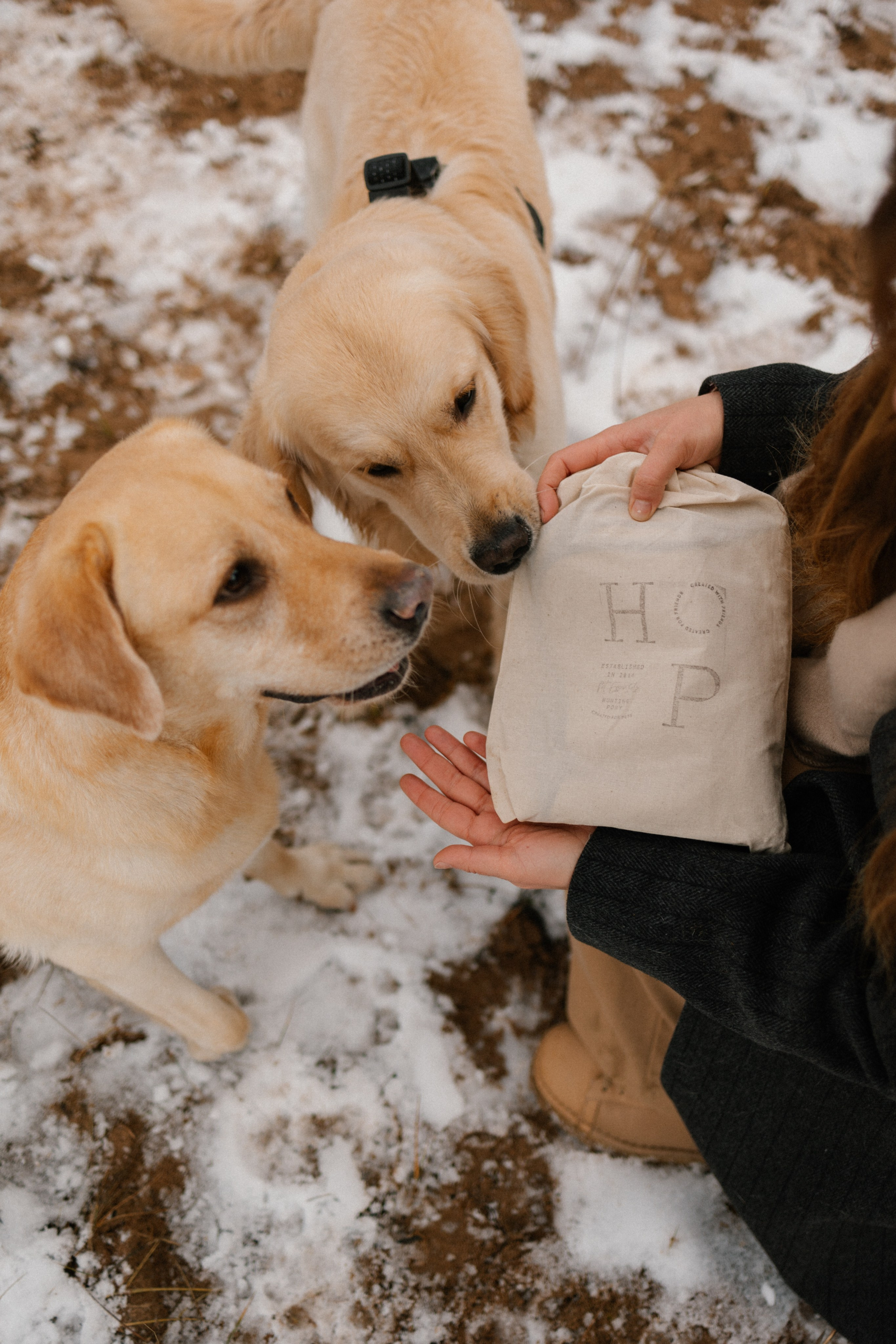 Ирина и Бася. Фотограф — Анималист | Санкт-Петербург