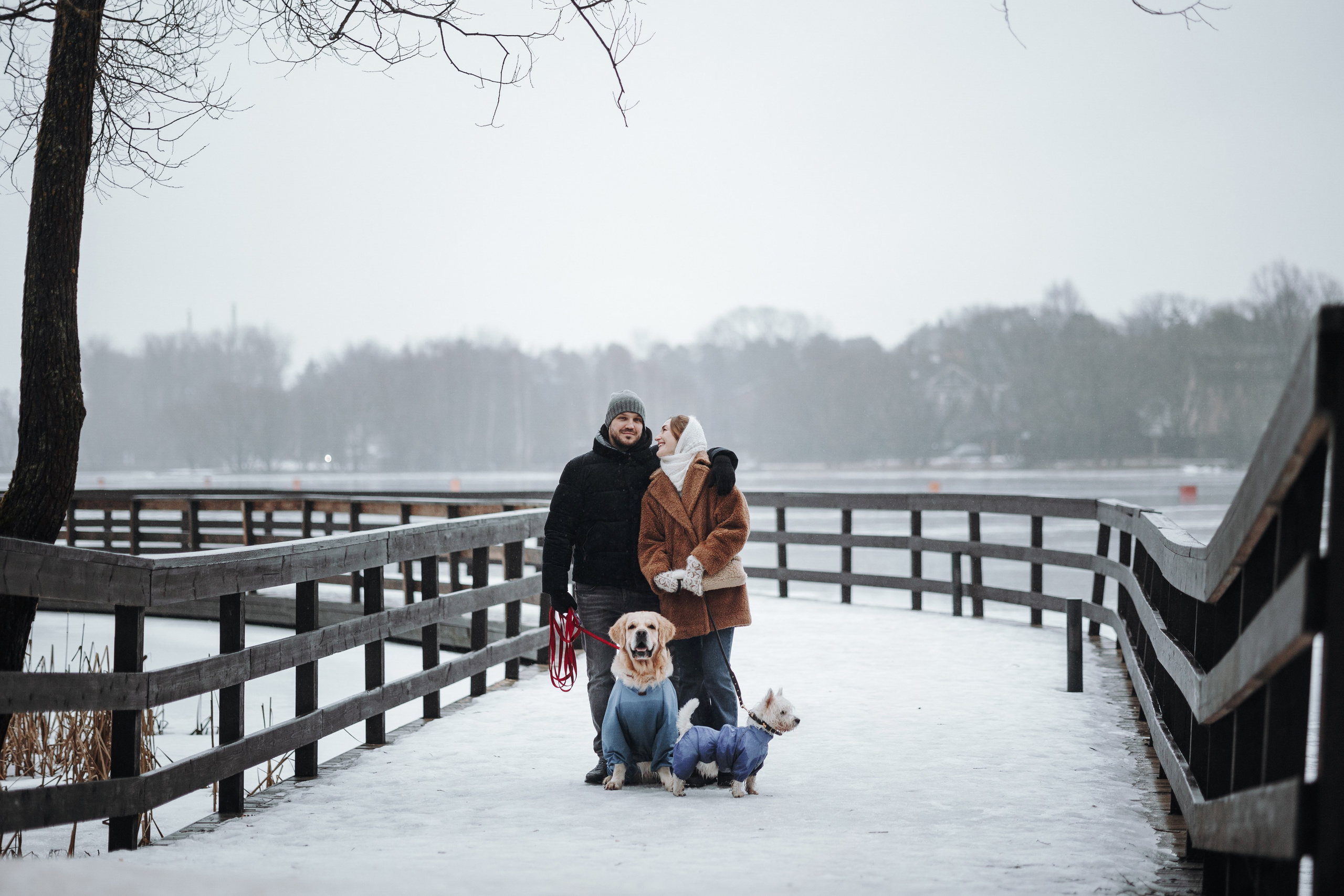 Шелби, Ватсон и ребята. Фотограф — Анималист | Санкт-Петербург
