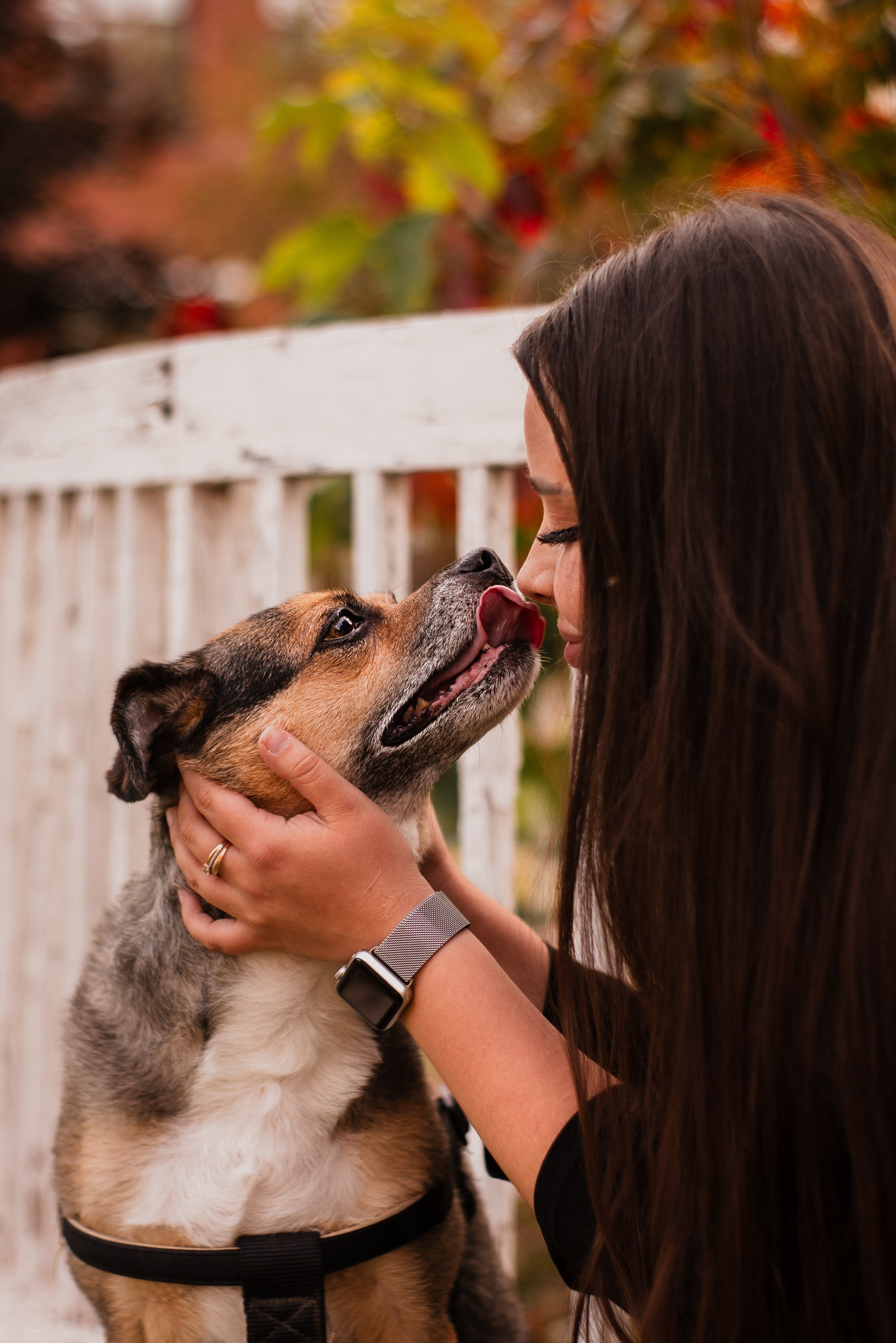 Виктория и Раф. Фотограф-анималист Мария Баркевич | Москва