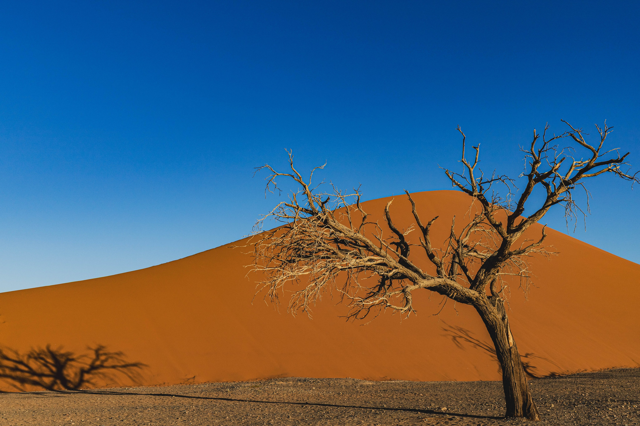 Южная Африка. B612