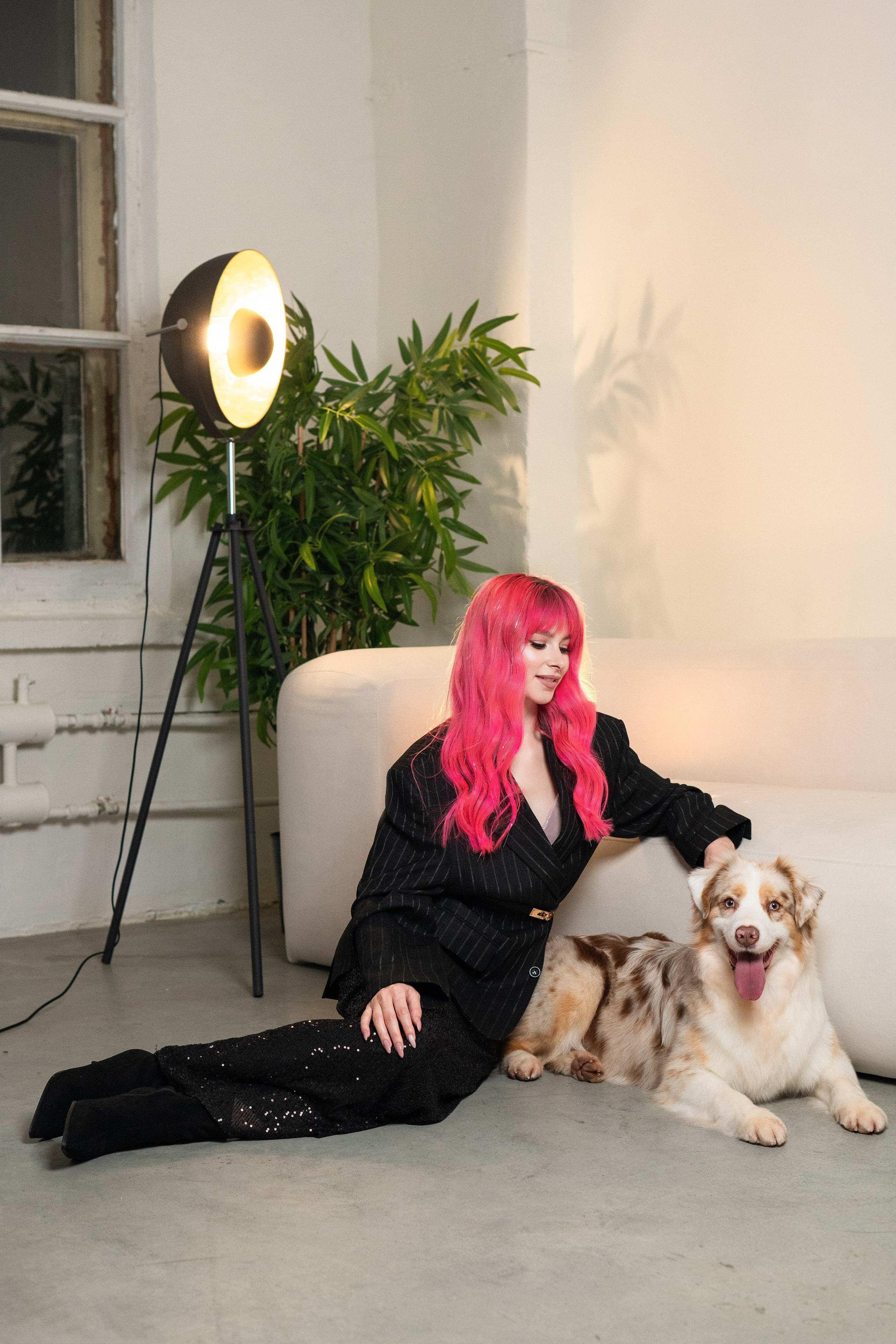 Фотодень с Австралийской овчаркой. Творческий фотограф Вологда