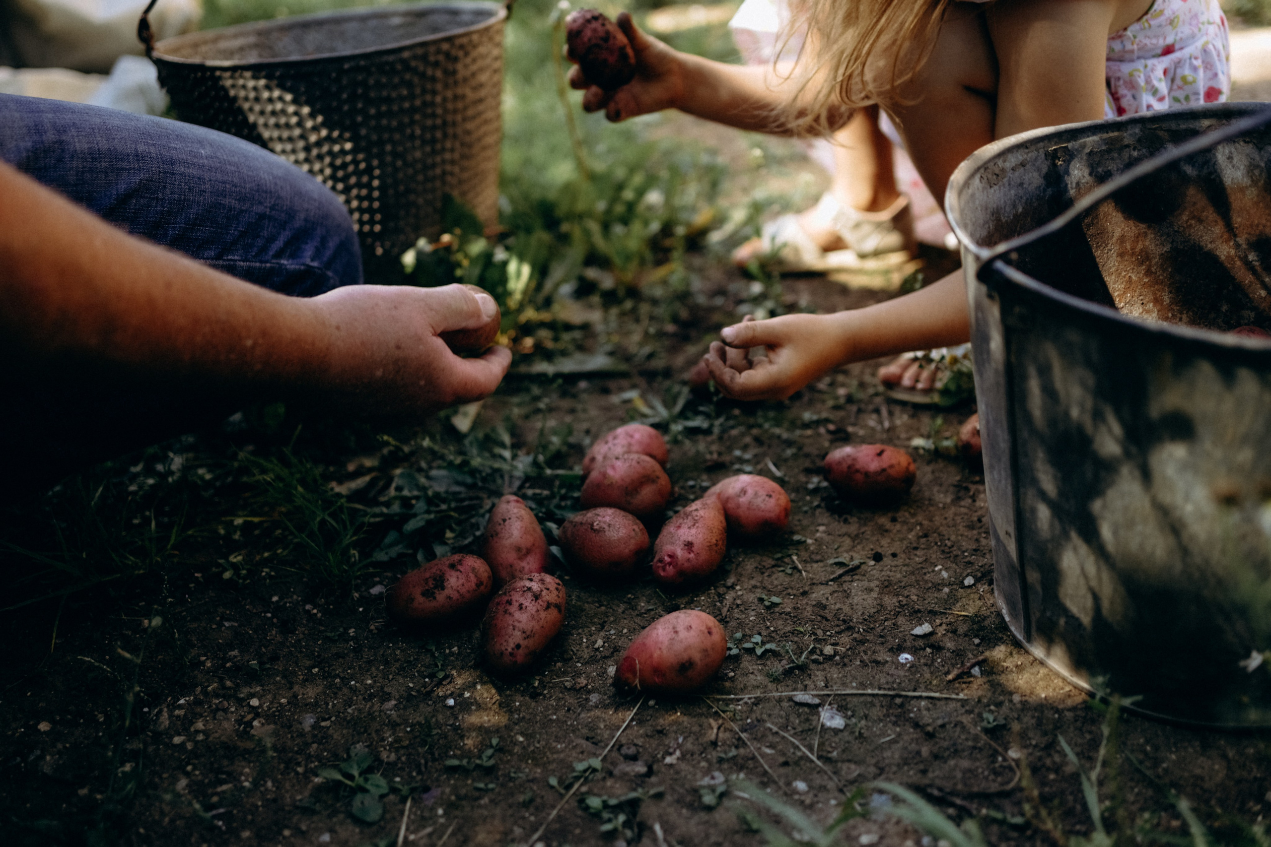 В саду. Фотограф Перевозкина Анна