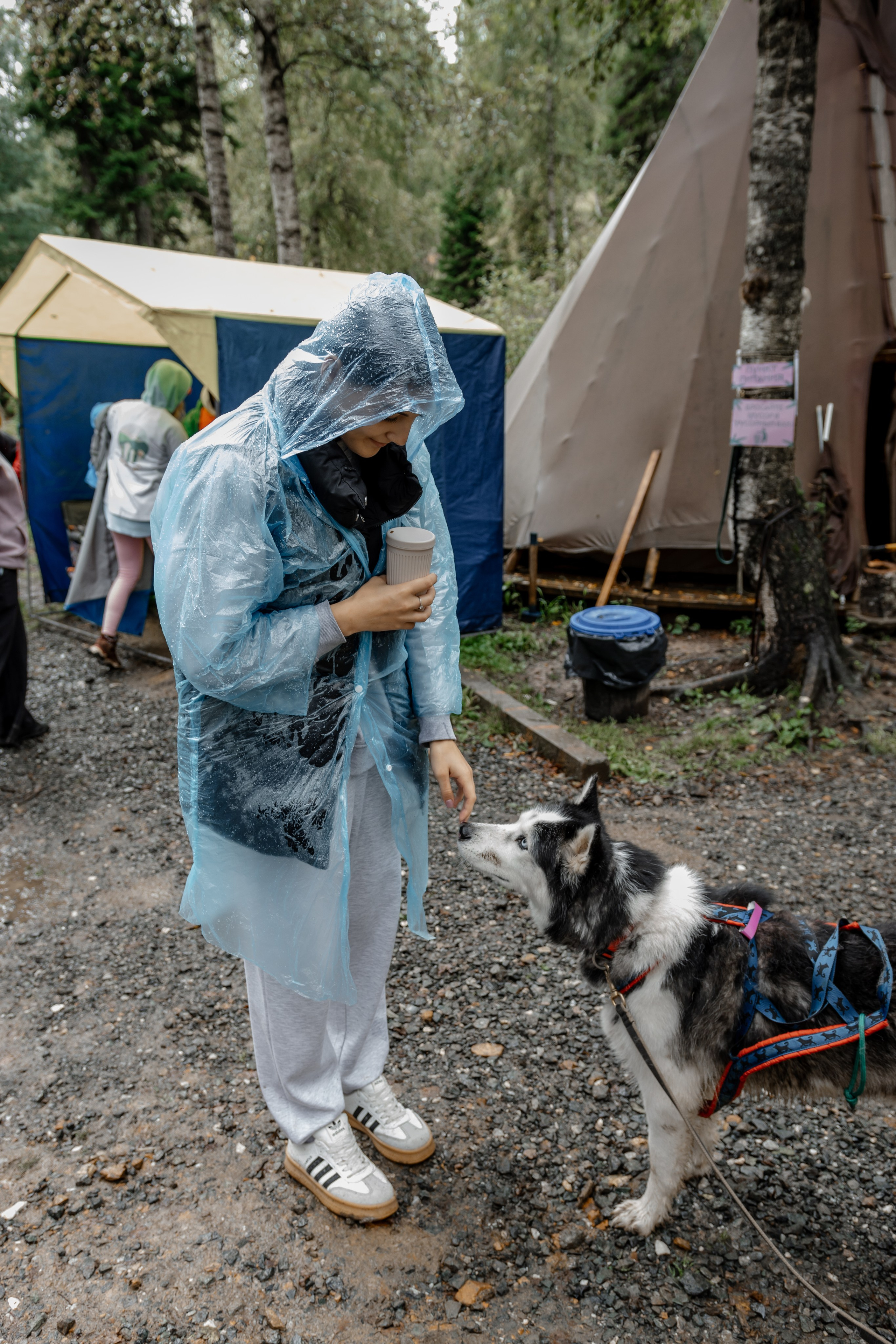 Дог-треккинг