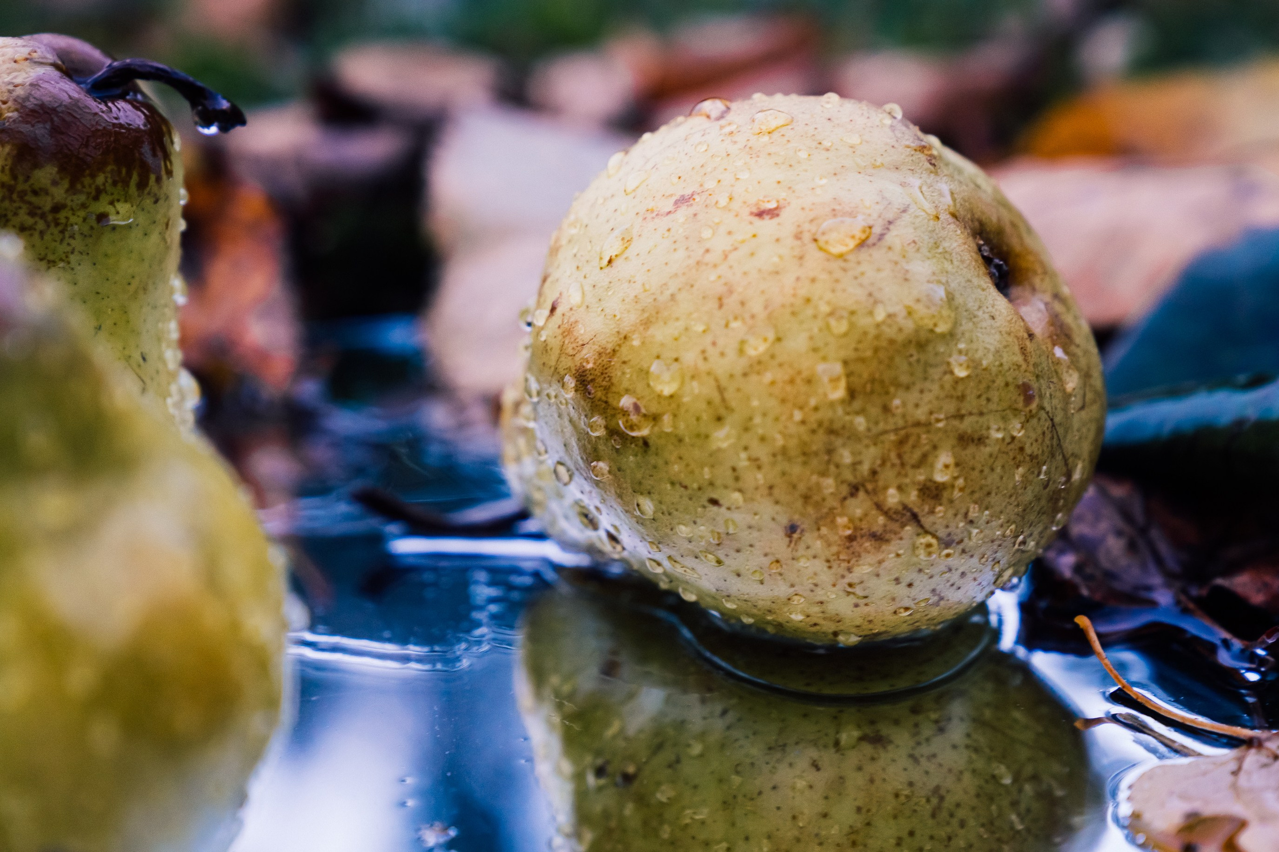 Предметная фотография. Медиа продакшн, Ян Фадеев, создание видео и фото, Москва, Россия