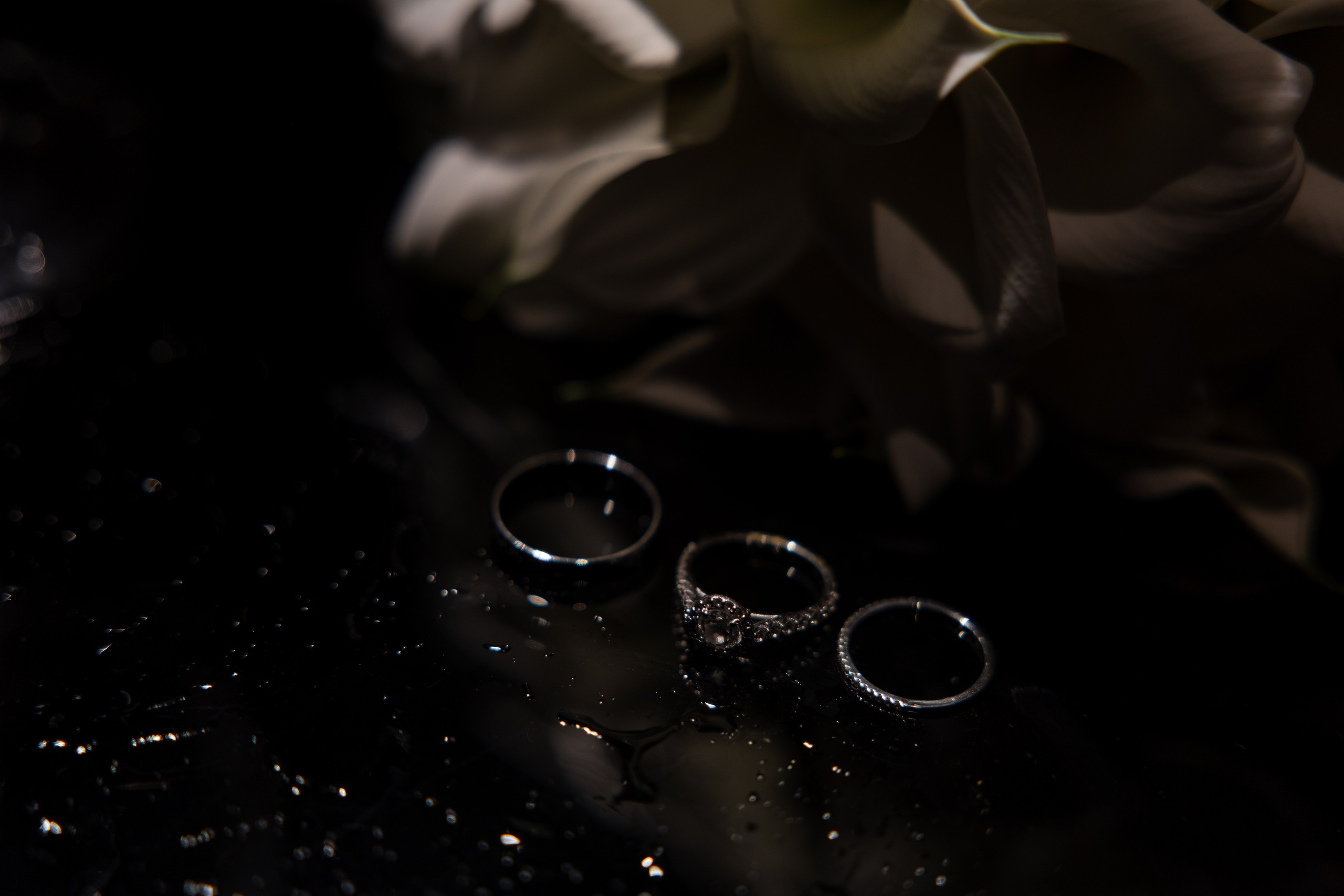 Cherry Candy Love. Свадебный фотограф — Ефимов Сергей