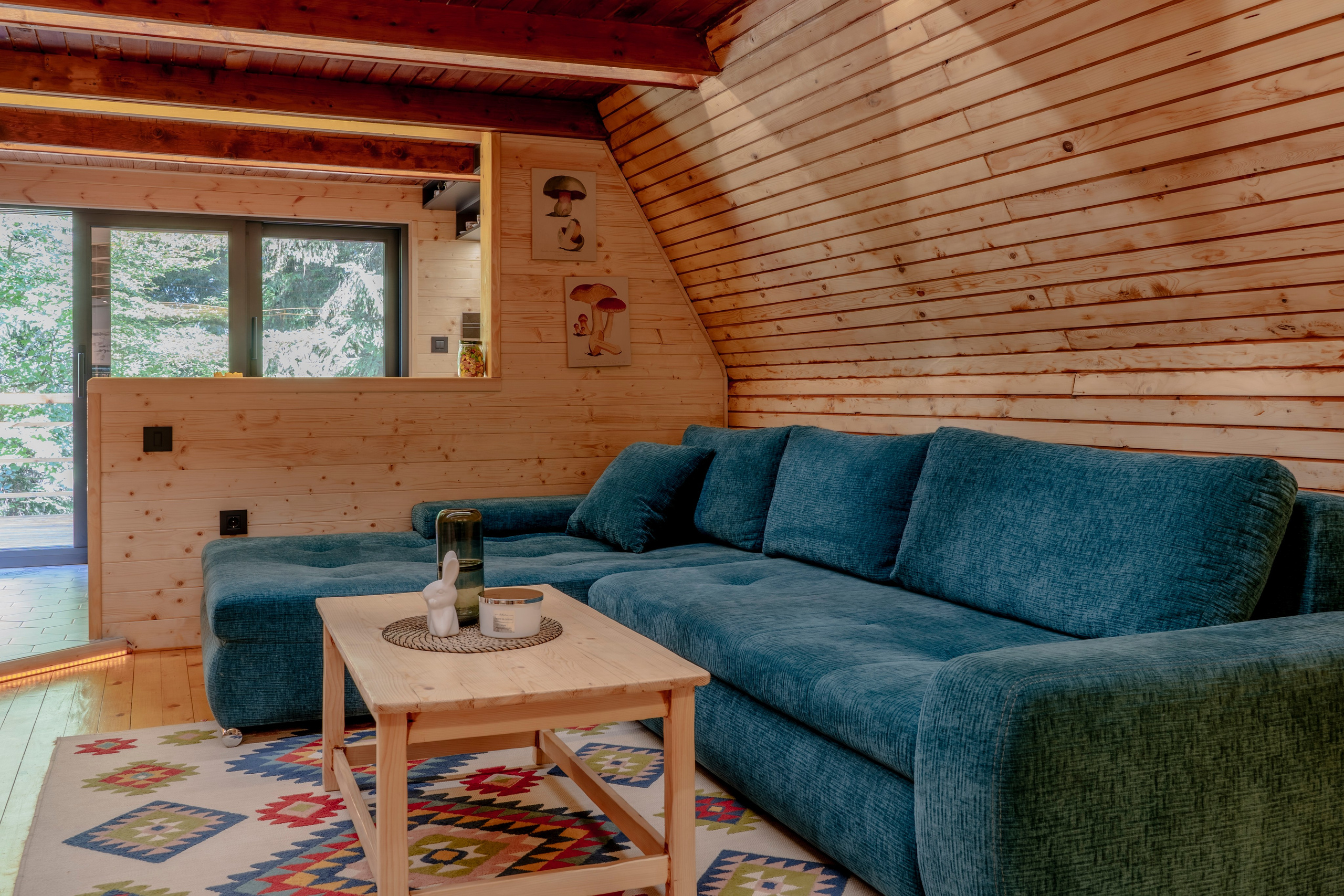 Viktorija Chalet. Photographer Liana Sudets Serbia Kopaonik Brzece Brus