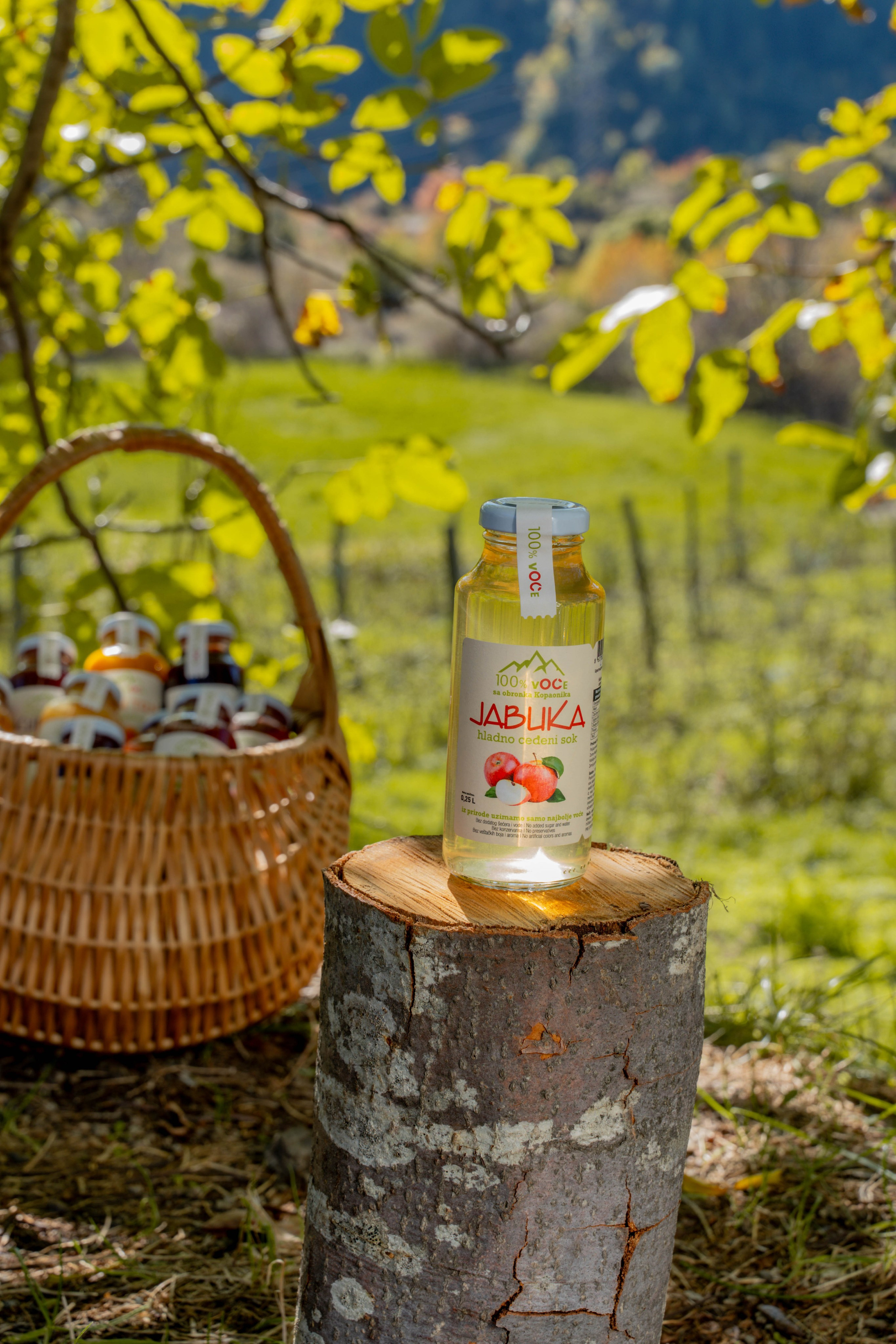 Green juice. Photographer Liana Sudets Serbia Kopaonik Brzece Brus