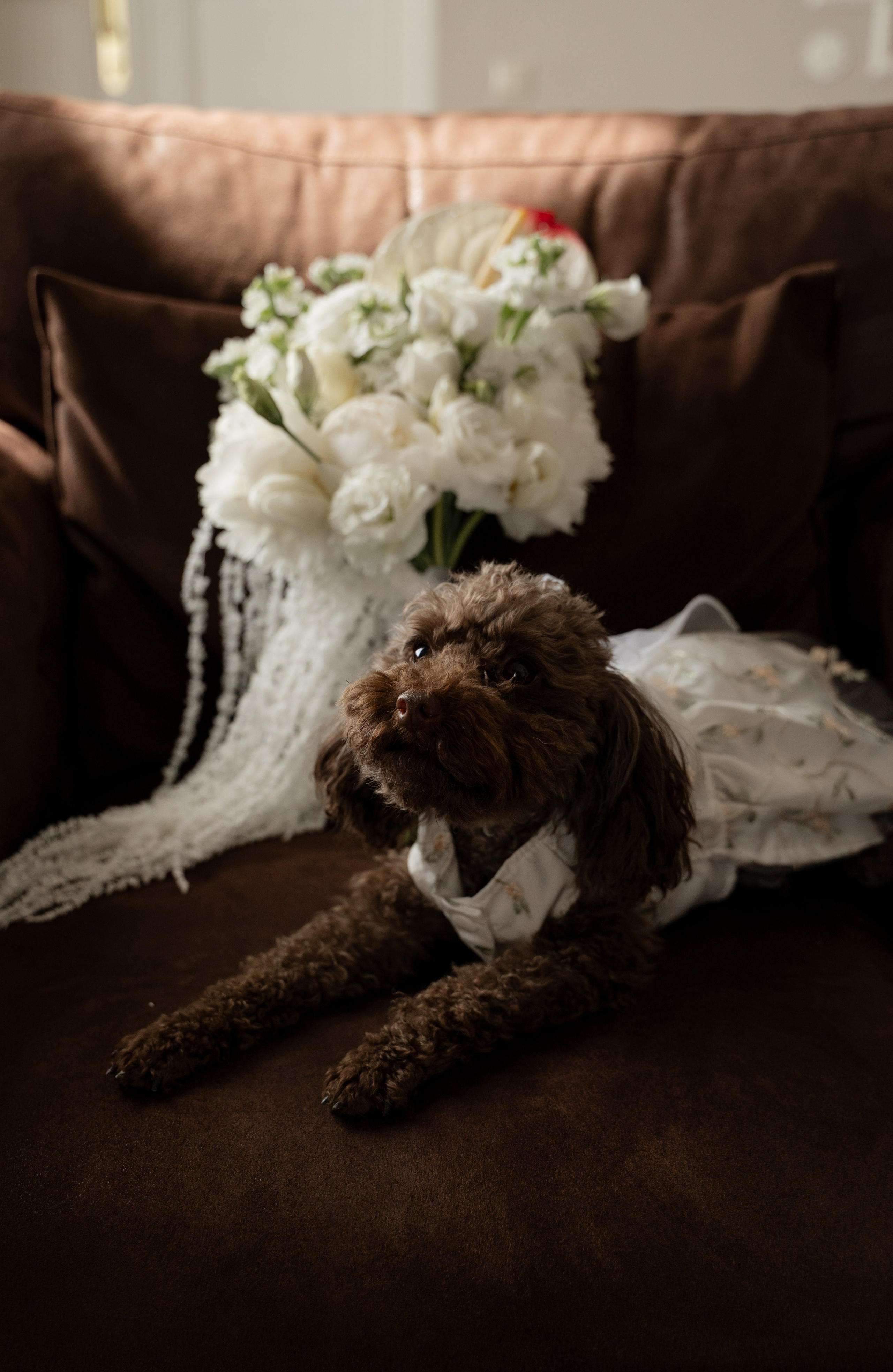 Павел и Дария. Свадебный фотограф Тула