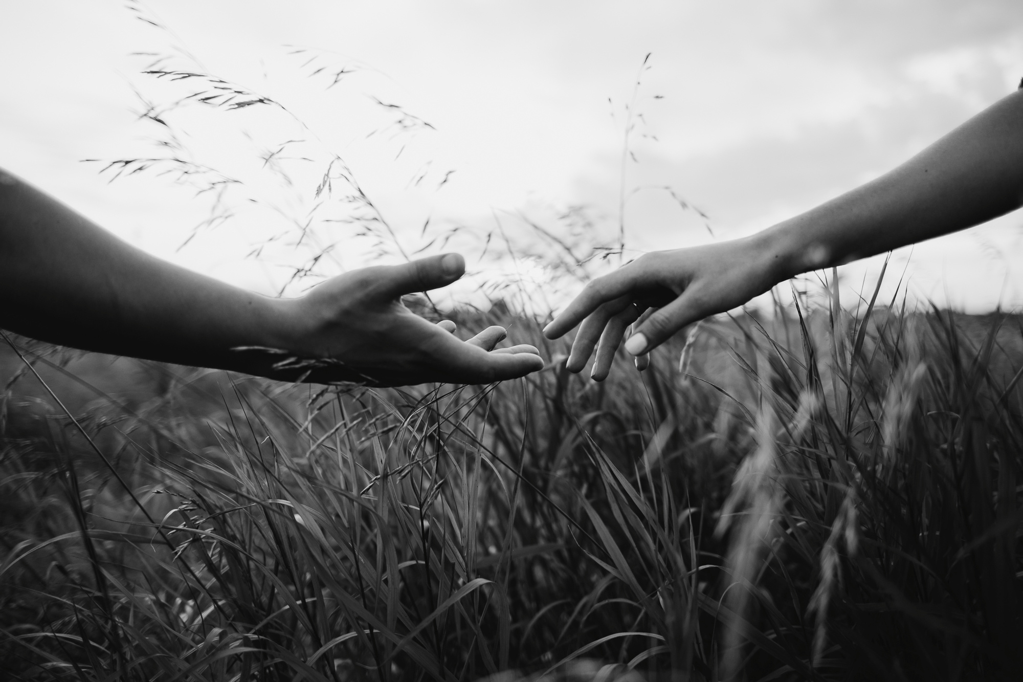 Саша и Артур. Свадебный фотограф СПб Мадина Сафарян