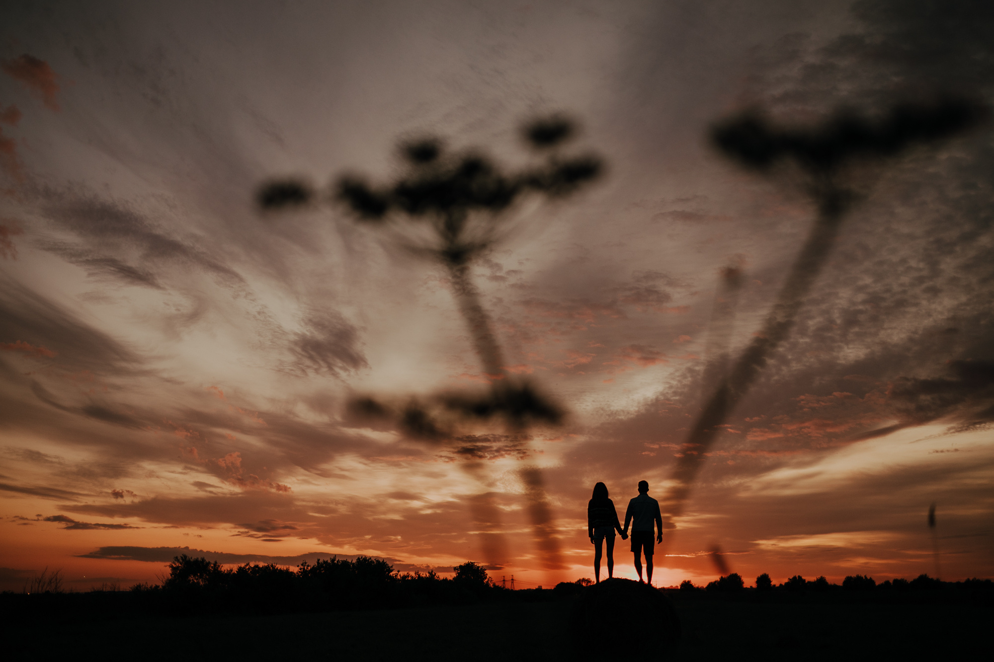 Саша и Артур. Свадебный фотограф СПб Мадина Сафарян
