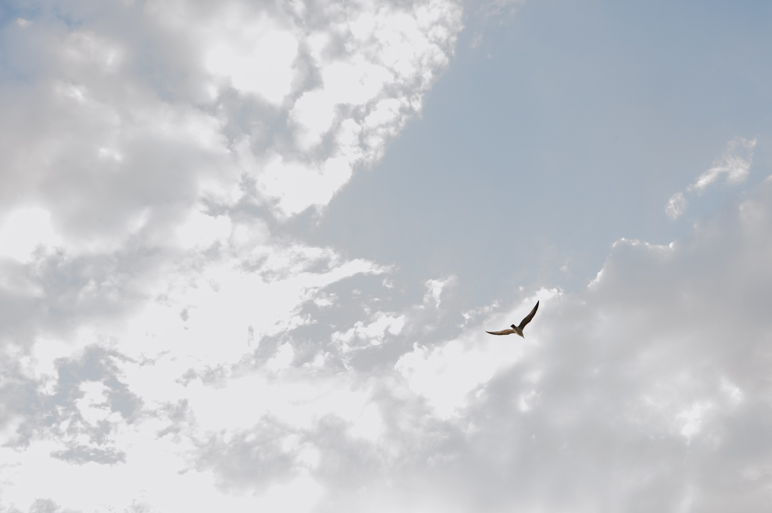 Дом у моря. Свадебный фотограф в Краснодаре и Сочи Комолова Екатерина