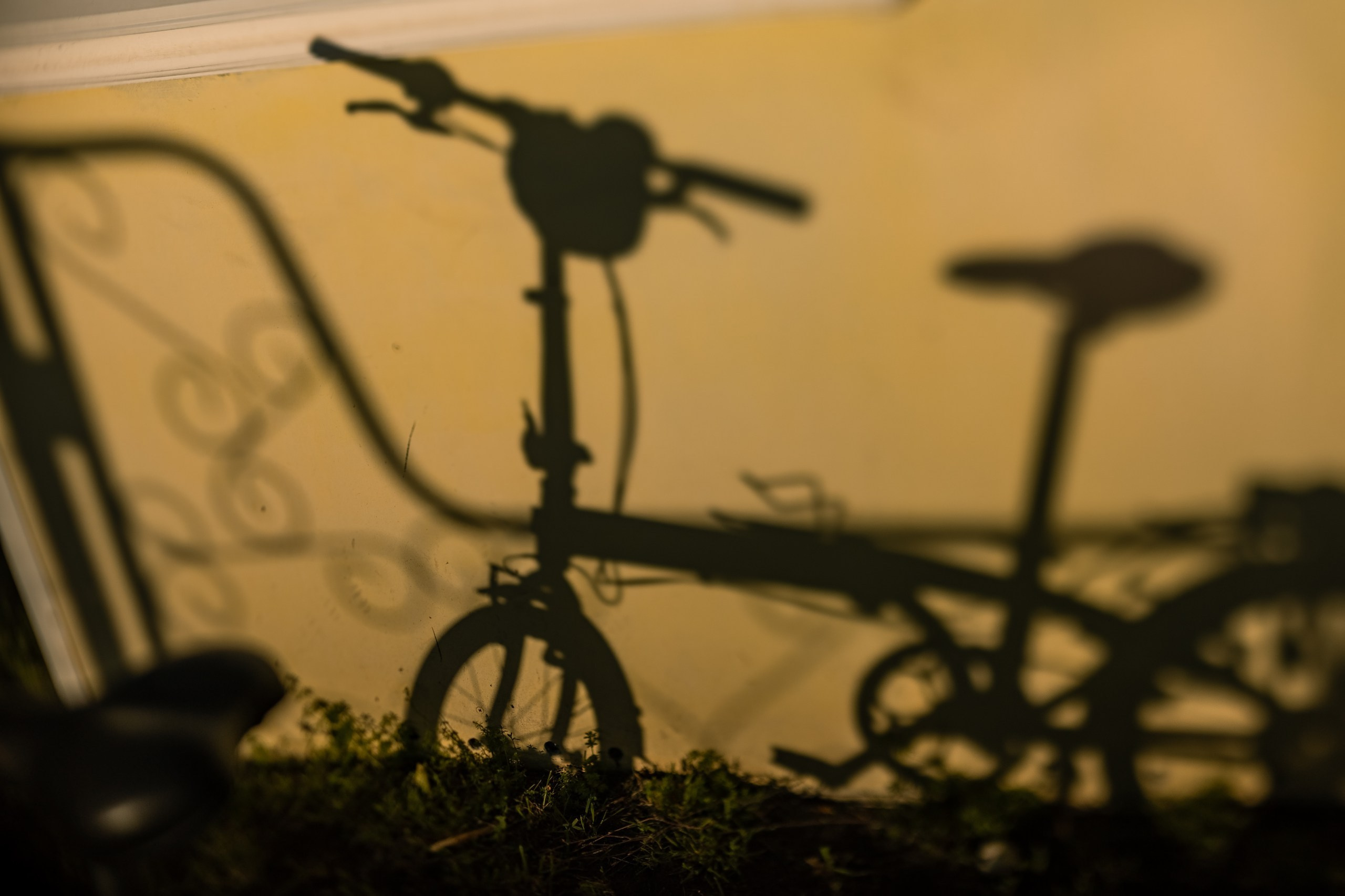 Деревенские зарисовки. Семейный LIFESTYLE фотограф в Москве