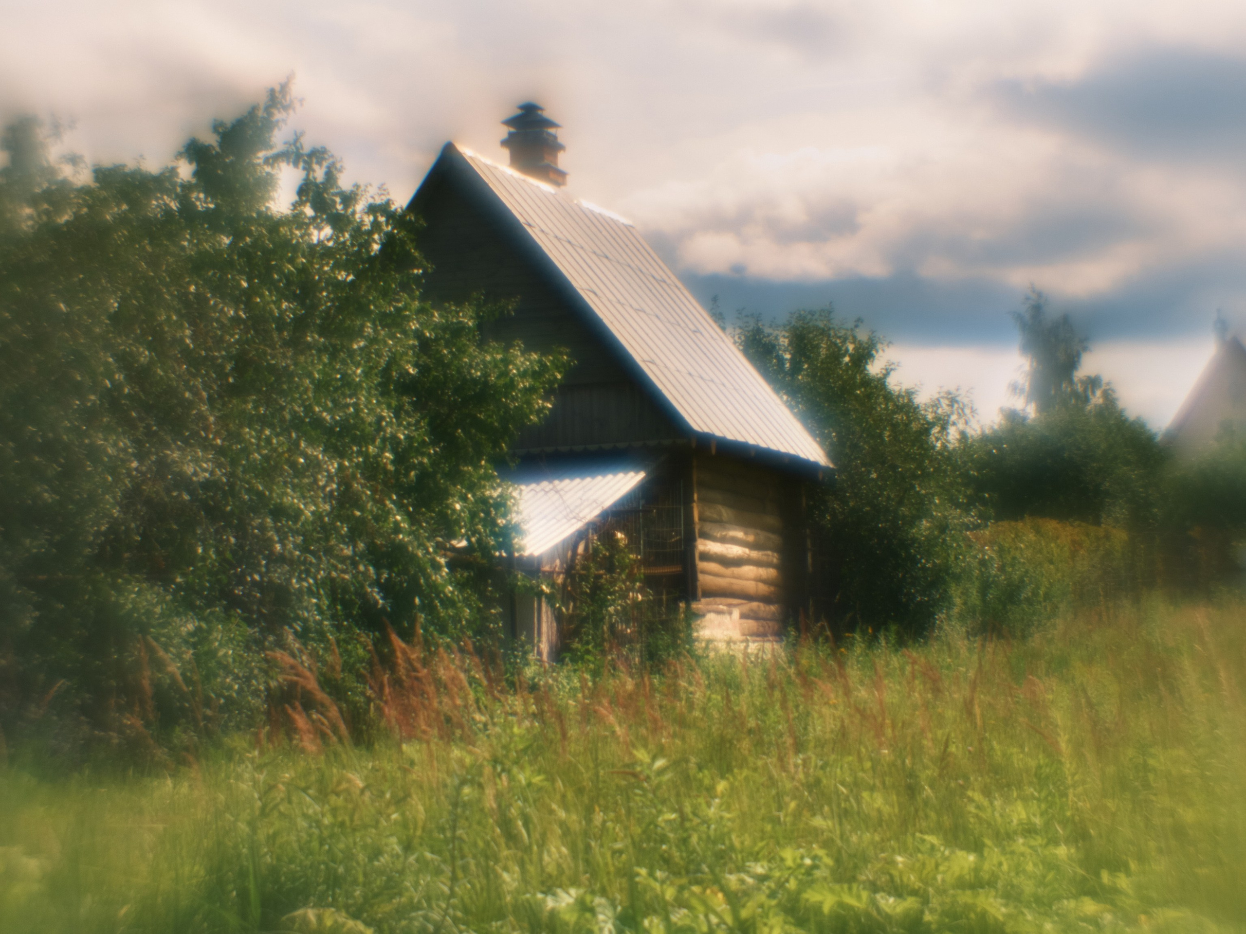 Фотограф Юлия Глазкова