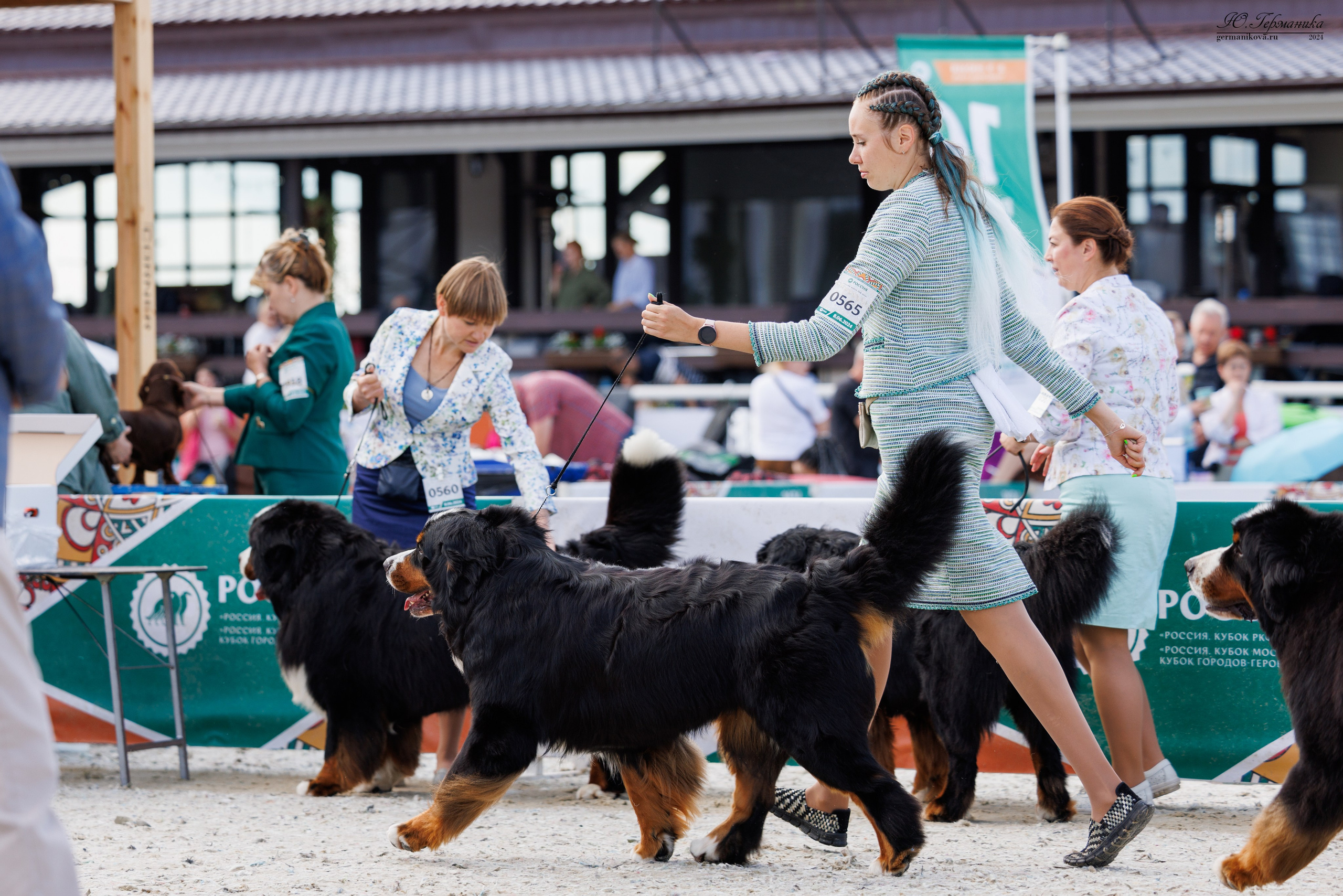 РОССИЯ 8-9.06.2024. Фотограф-анималист Юлия Германика