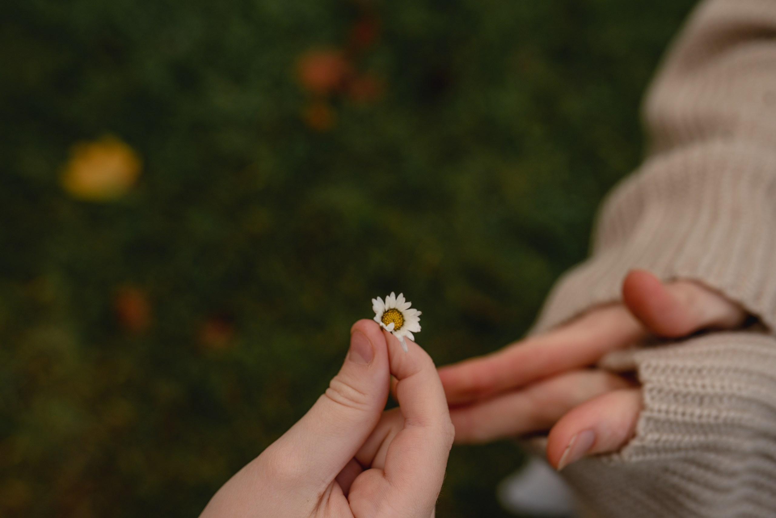 Света и Ева. Семейный фотограф в Москве Лилия Лебедева
