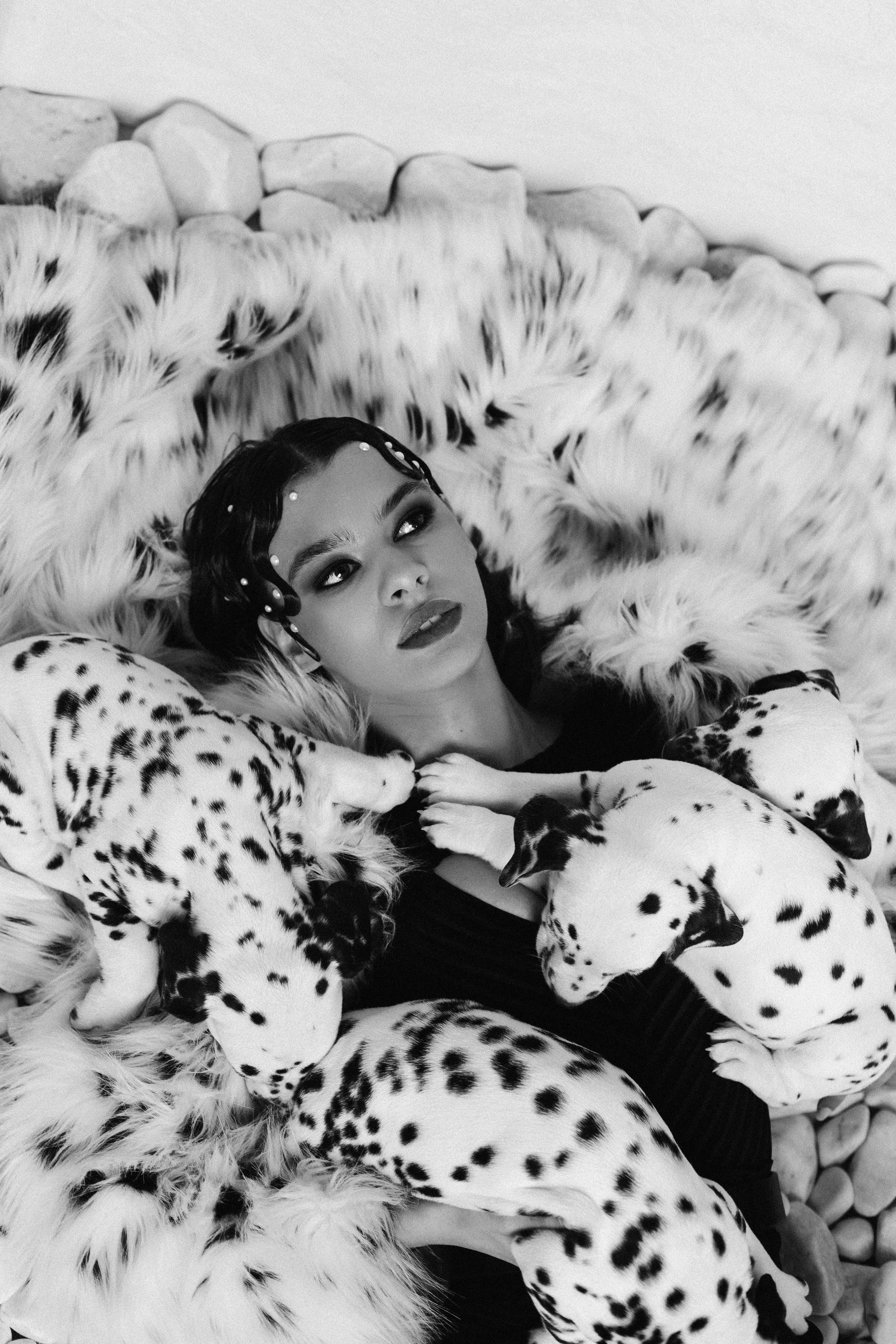 Md:@m_korsunenko Hair: @aleksandrova.hair Org: @creative_photoday Loc: Ark studio | фотостудия СПБ Dogs: vk.com/club2372836