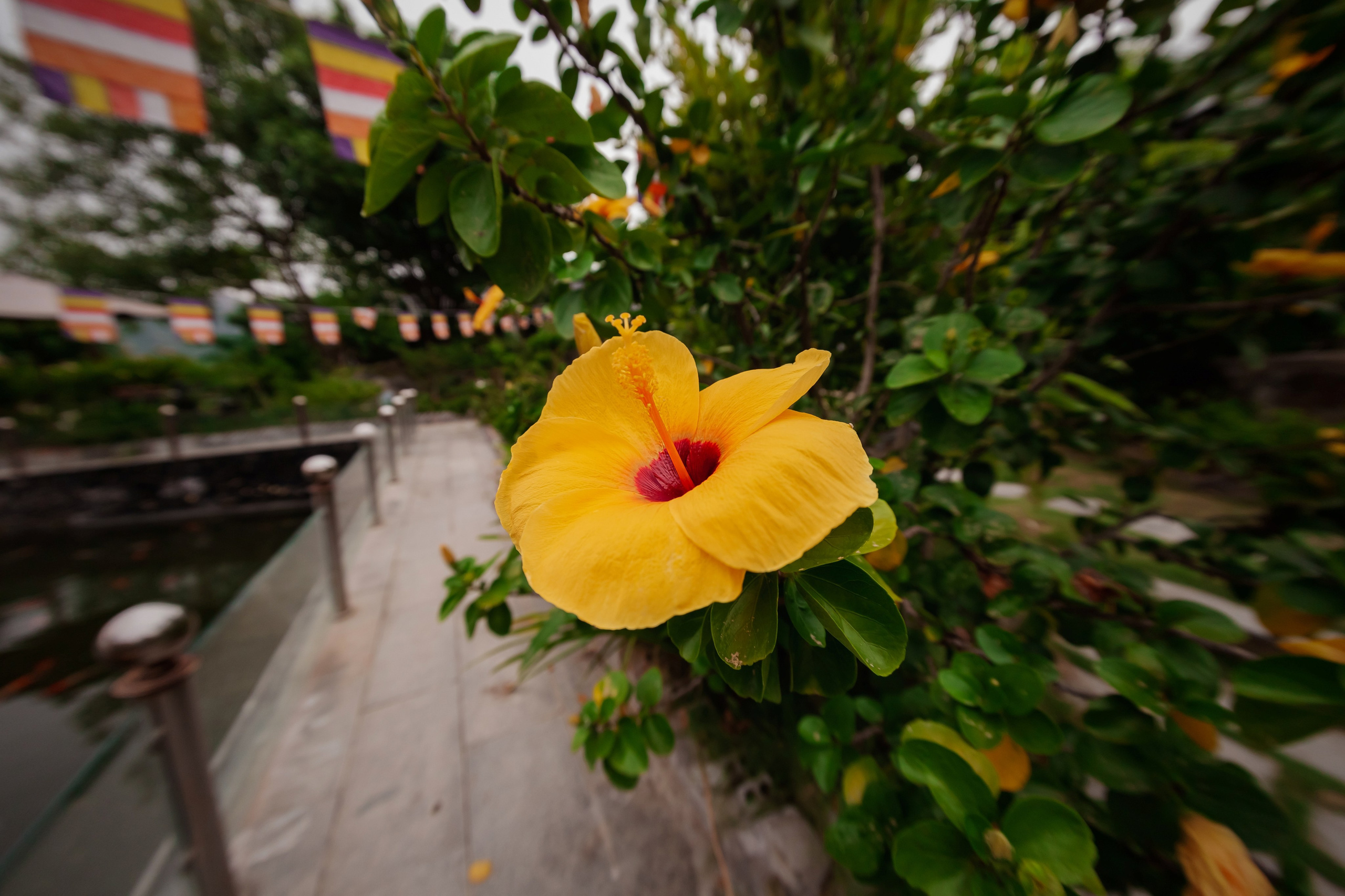 ВЬЕТНАМ 2023 / VIEtTNAM 2024. Главная