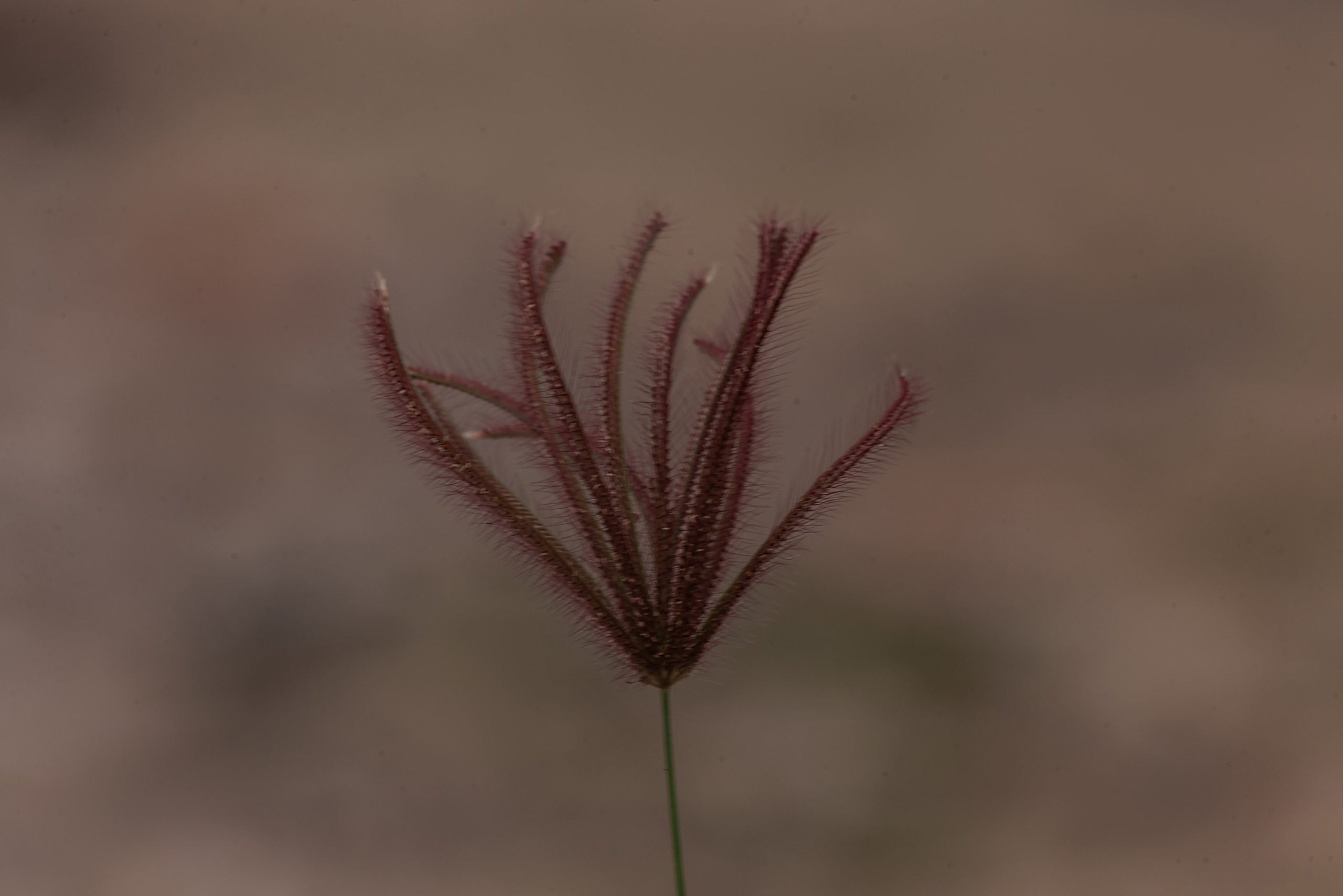 ВЬЕТНАМ 2023 / VIEtTNAM 2024. Главная