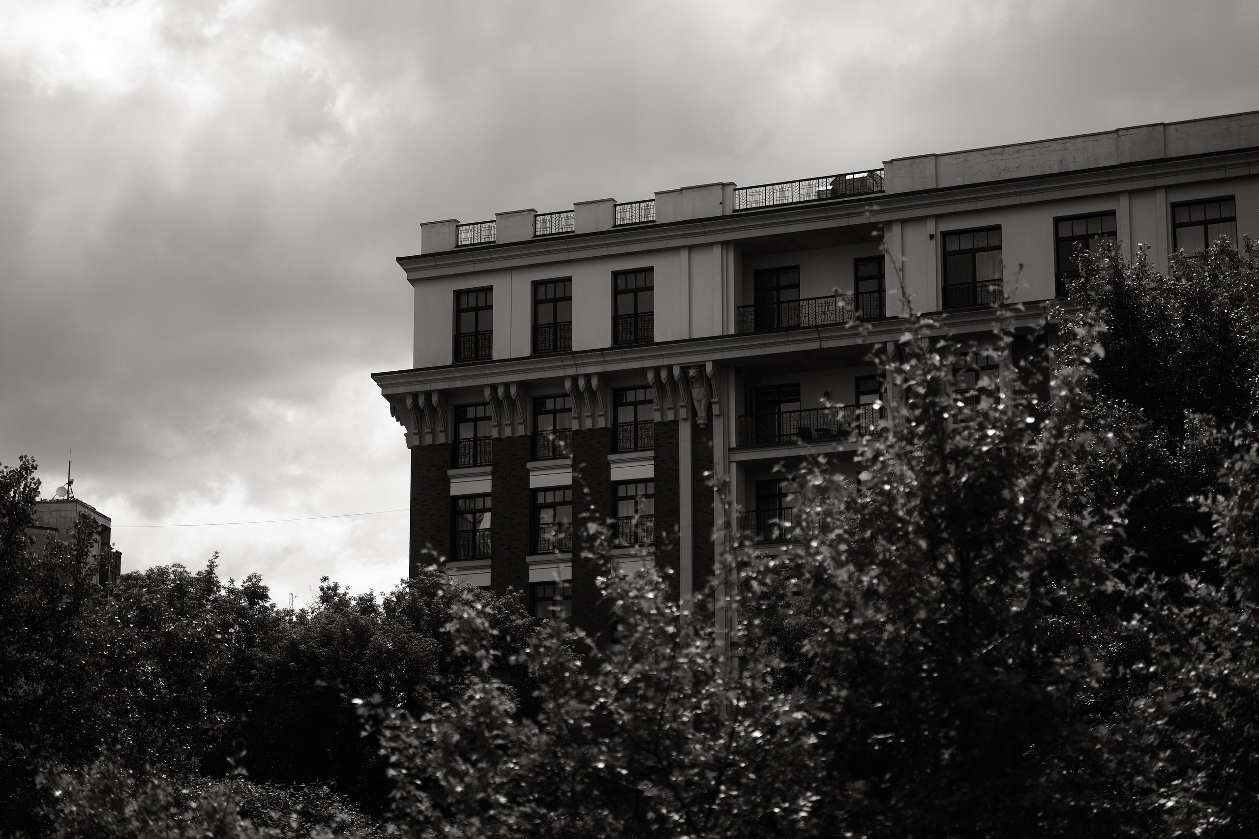 Прогулка по Воробьёвым горам. Фотограф Михаил Ерохин | Москва