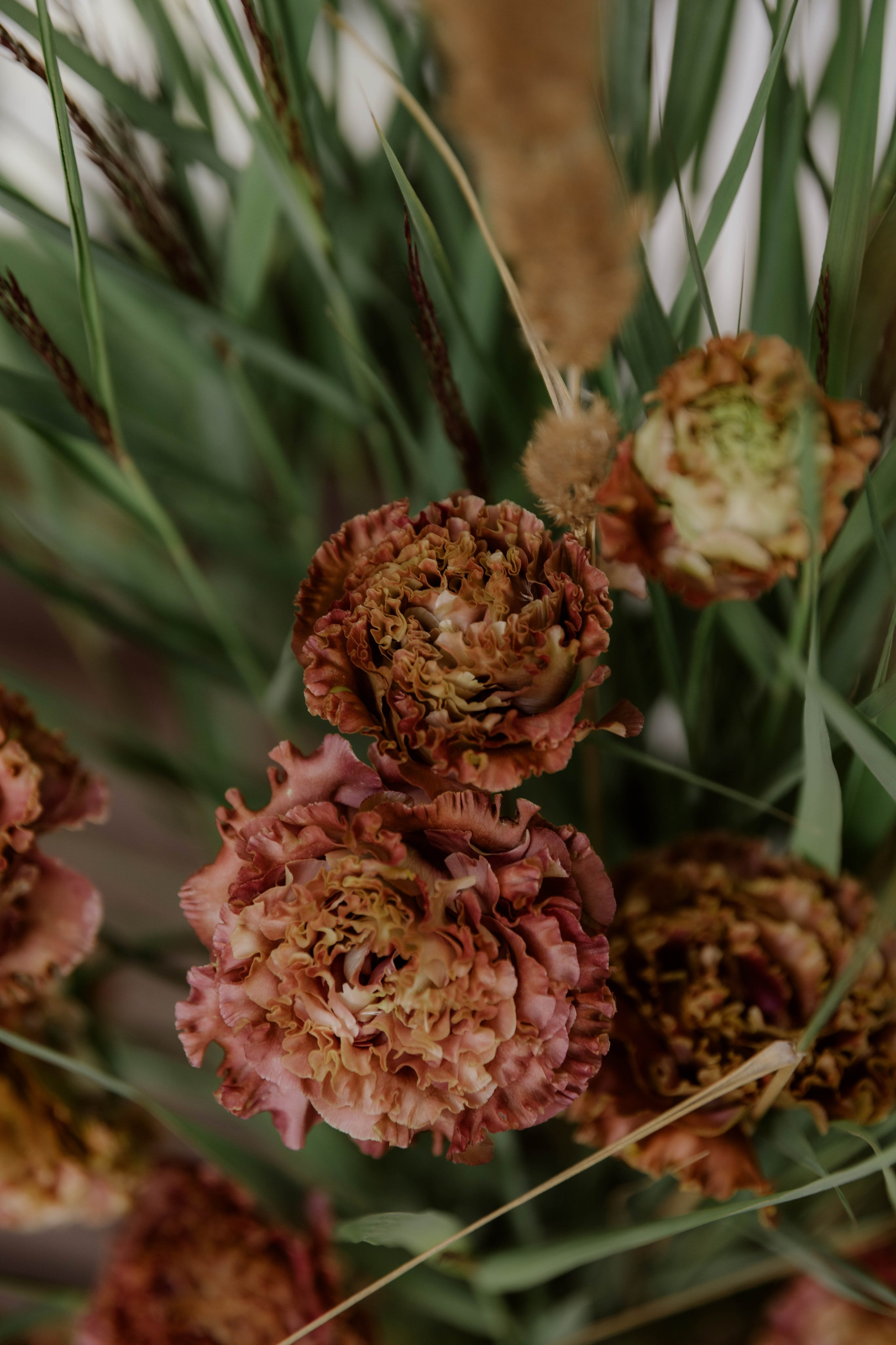 Евгений и Дарья. Фотограф Юсова Мария