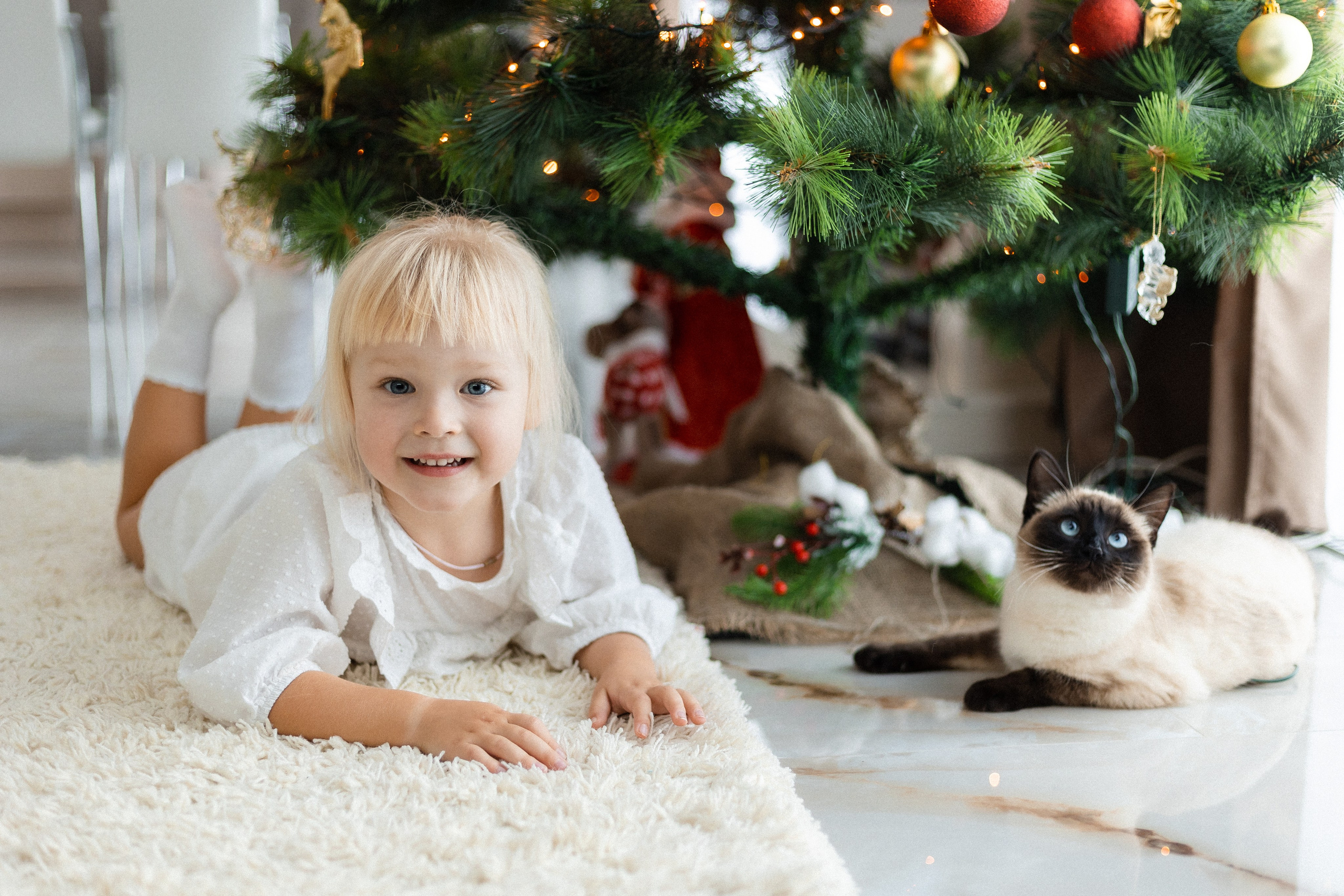 Домашнее печенье. Семейный фотограф в Нижнем Новгороде Доронина Юлия
