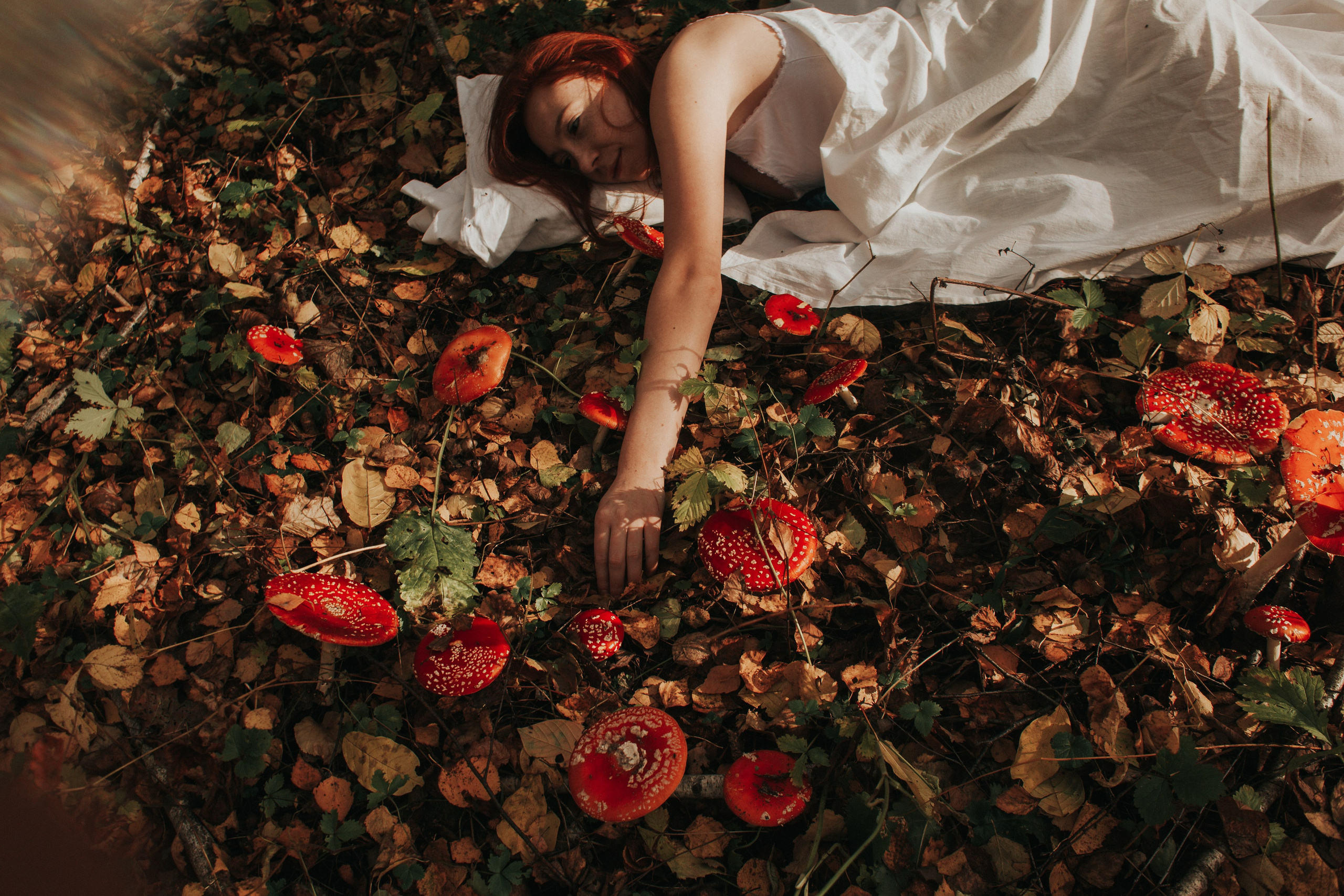 Алина. Мухоморы. Фотограф в Нижнем Новгороде