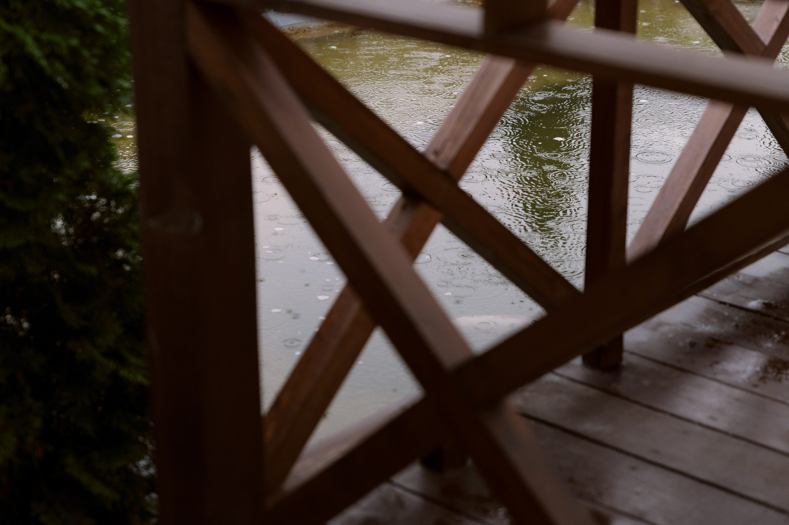 Алина + Никита. Свадебный фотограф в Тамбове Валерий Тихов