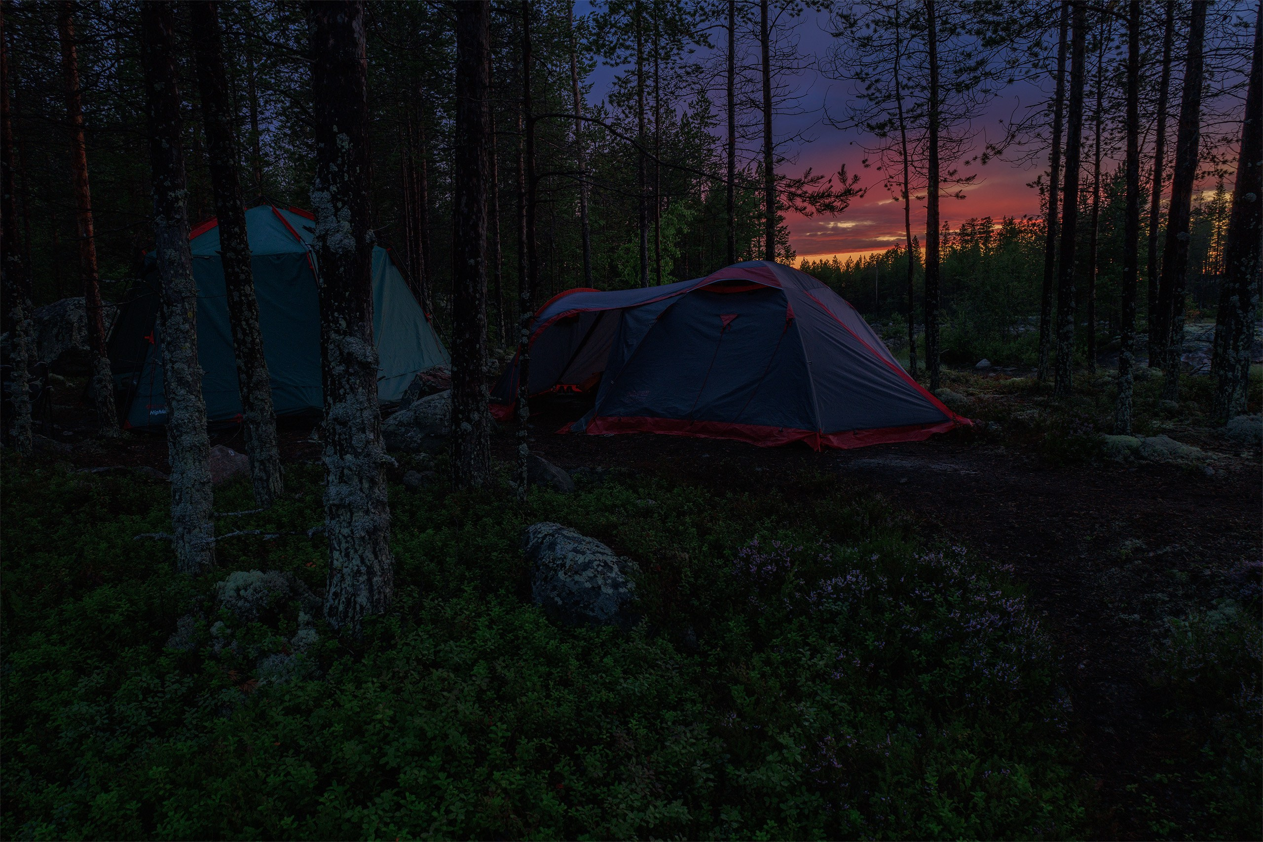 Пейзажи. Сайт фотографа Елены Михайловой. Фотосессии на пленэре в Сестрорецке