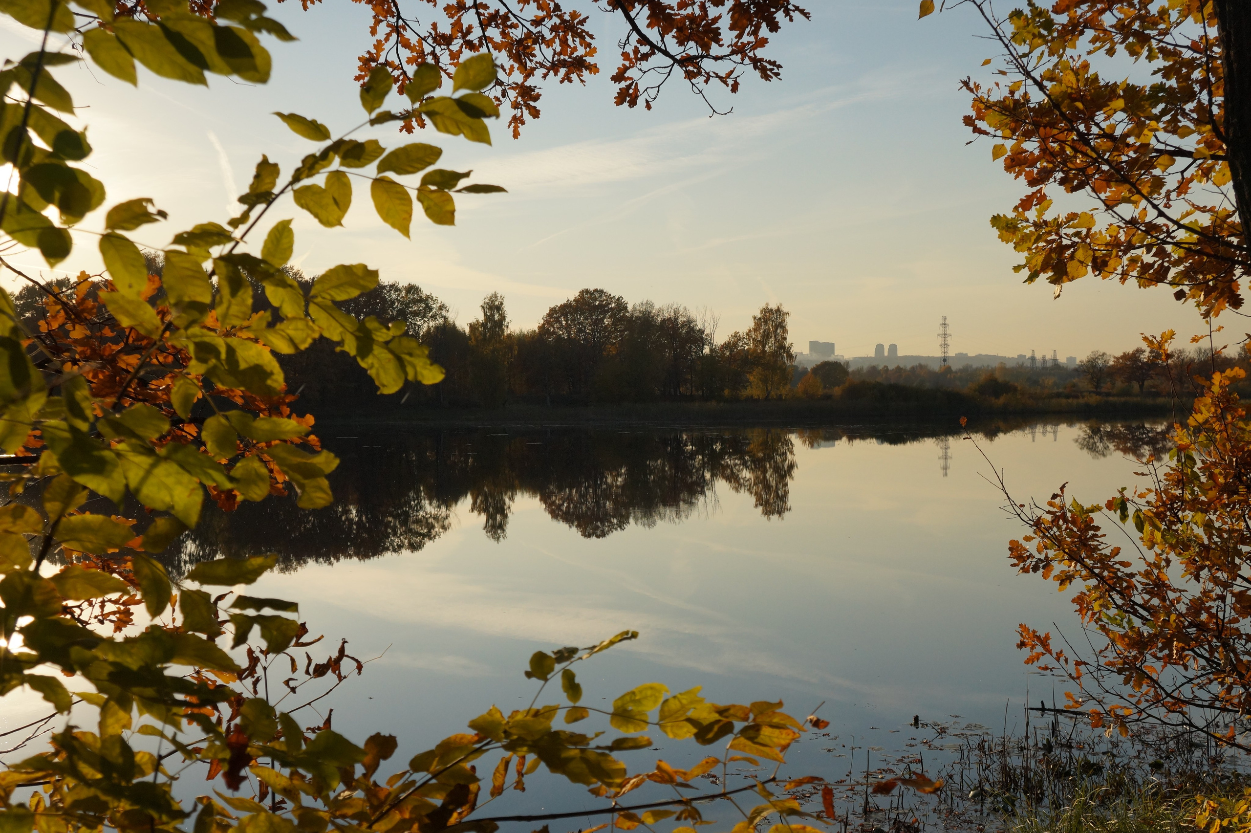 Пейзажи. Фотограф в Москве Александра