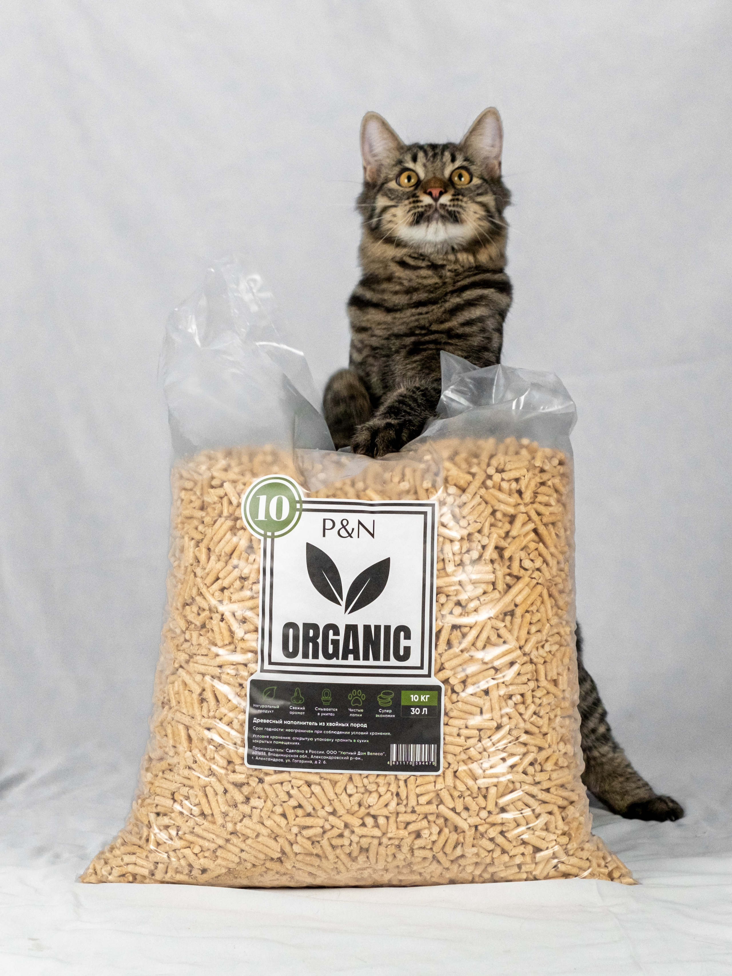 Древесный наполнитель для кошек, для Анастасии!. Зоофотограф, фотограф животных в Москве и области Дина Дамоцева